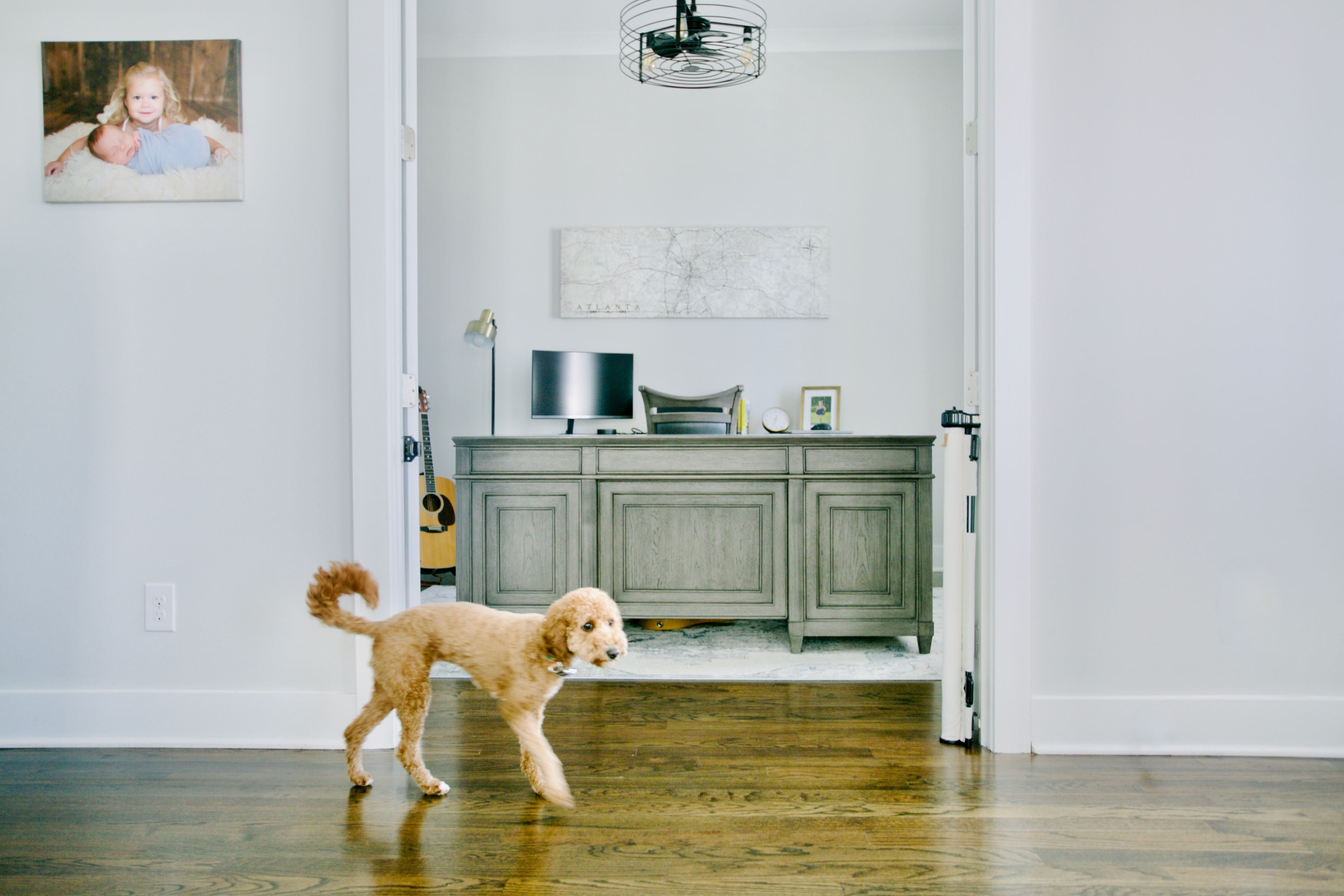 Milliken® Fabric Baby & Pet Safety Gate – Indoor/Outdoor, Durable & Stylish
