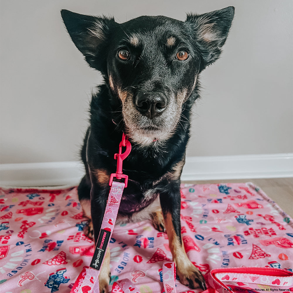 Dog Leash - Mean Girls™