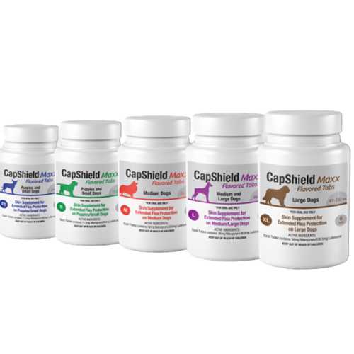 CapShield Maxx Flea Tabs for XL Dogs 91-132 lbs Beef Flavor 6 Count