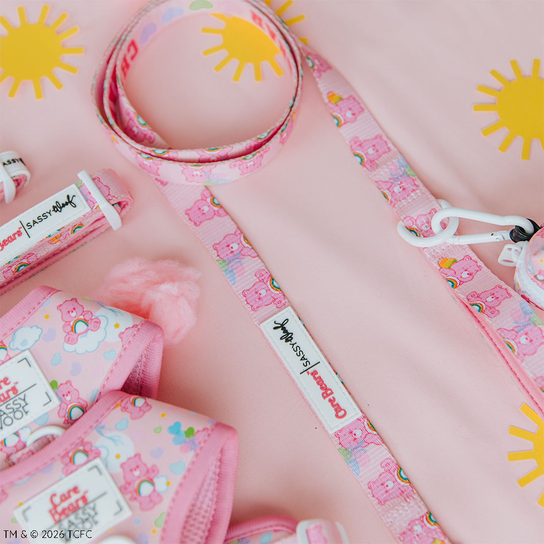 Dog Leash - Care Bears™ Cheer Bear
