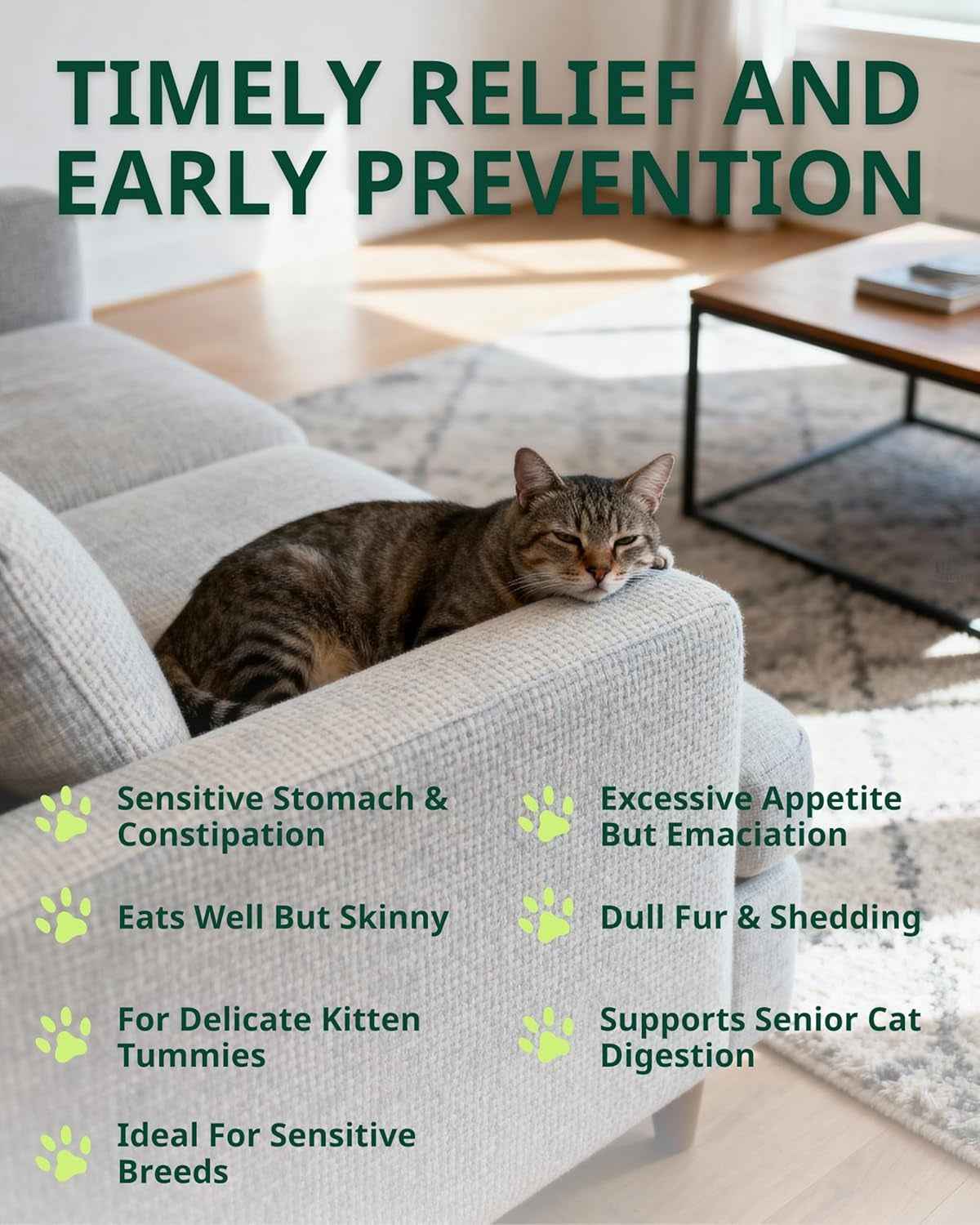 Cat Constipation Relief Drops Natural Digestive Stool Softener 60ml