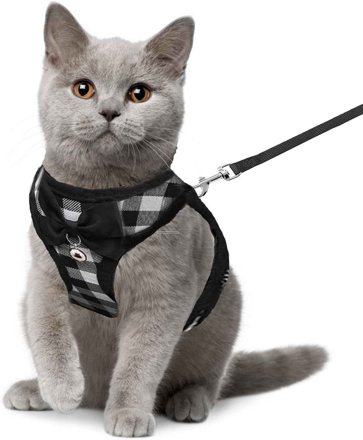Mesh Cat Harness & Leash Set with Buckle & Metal Ring – Cats & Rabbits