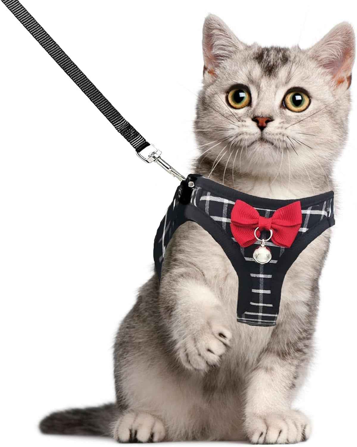 Mesh Cat Harness & Leash Set with Buckle & Metal Ring – Cats & Rabbits