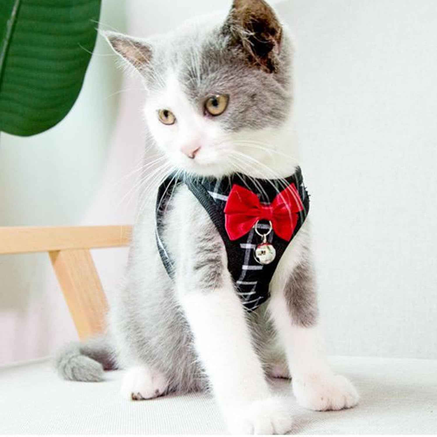 Mesh Cat Harness & Leash Set with Buckle & Metal Ring – Cats & Rabbits