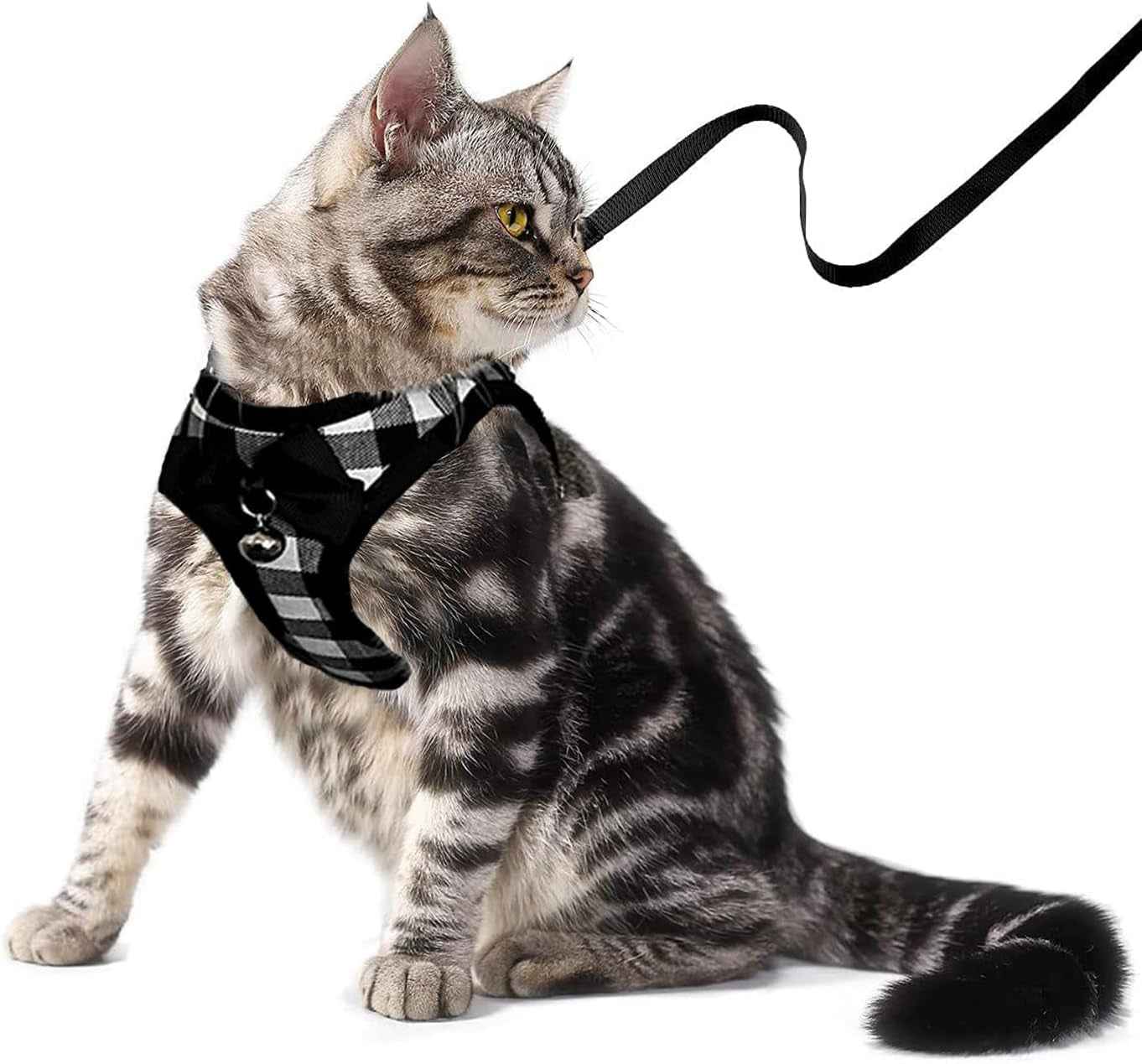 Mesh Cat Harness & Leash Set with Buckle & Metal Ring – Cats & Rabbits