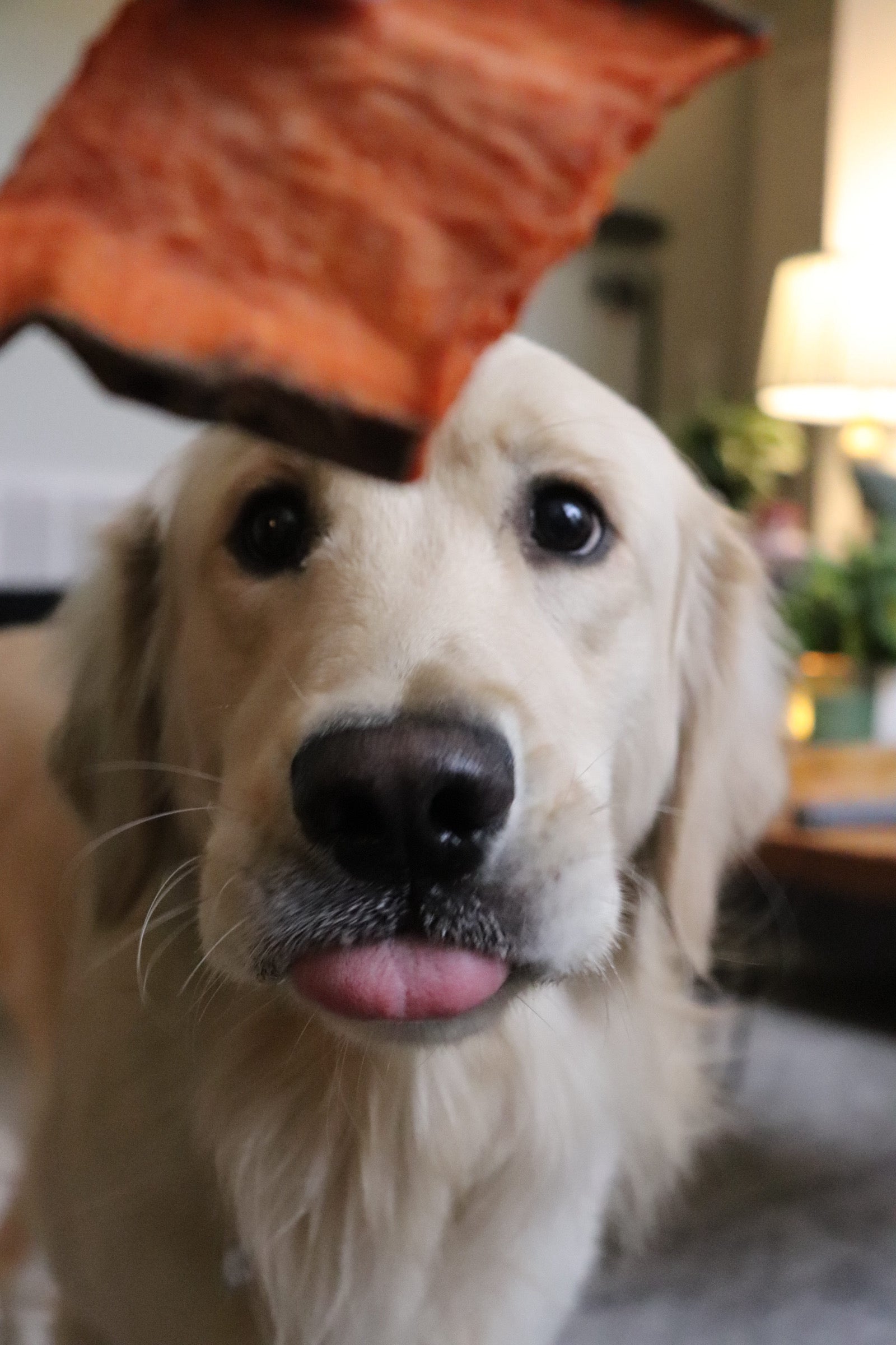 Sweet Potato Chews