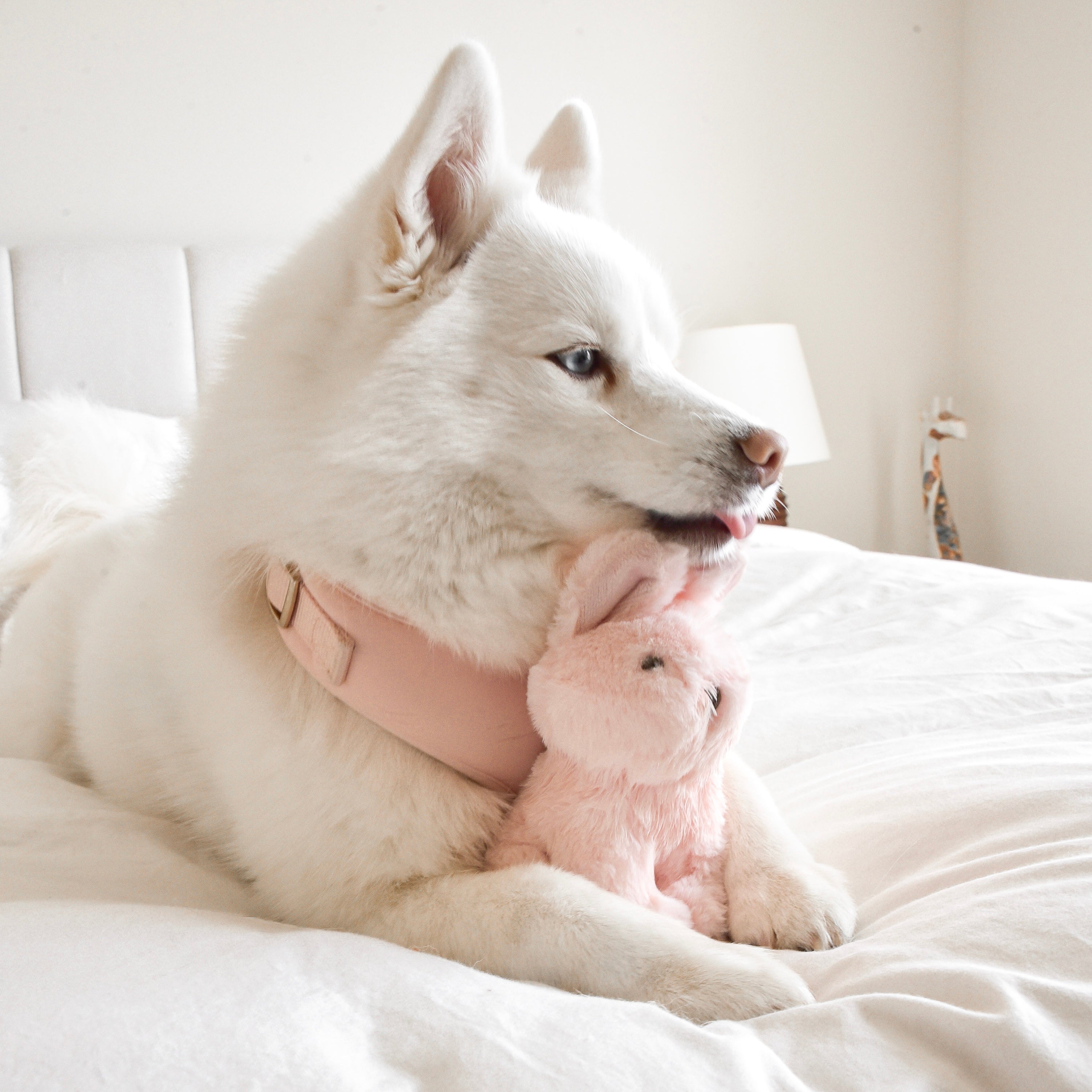 Fur Elise Ruby Plush Toy - Mini