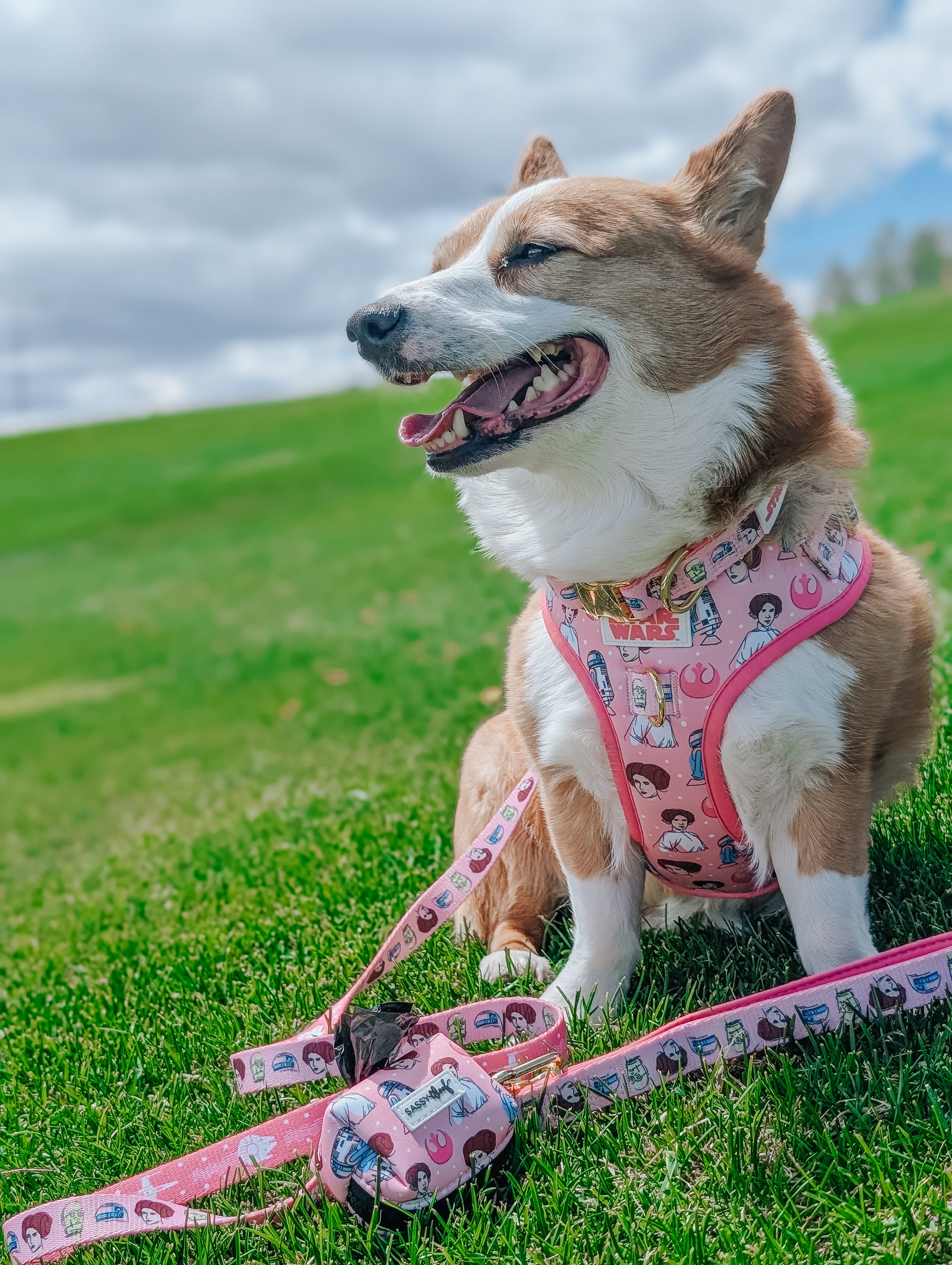 Dog Leash - STAR WARS™ Princess Leia