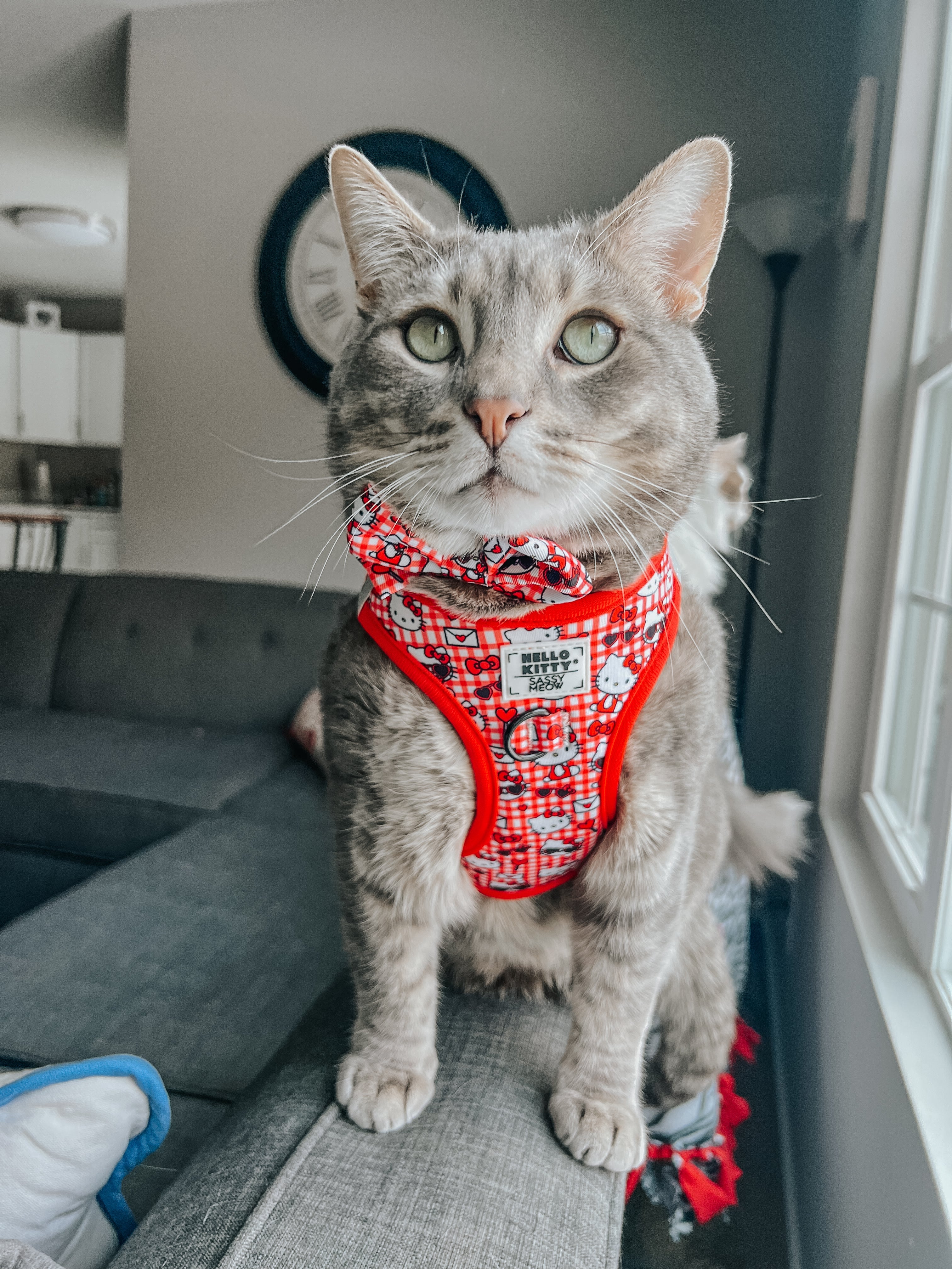 Cat Bundle - Hello Kitty® Red Classic