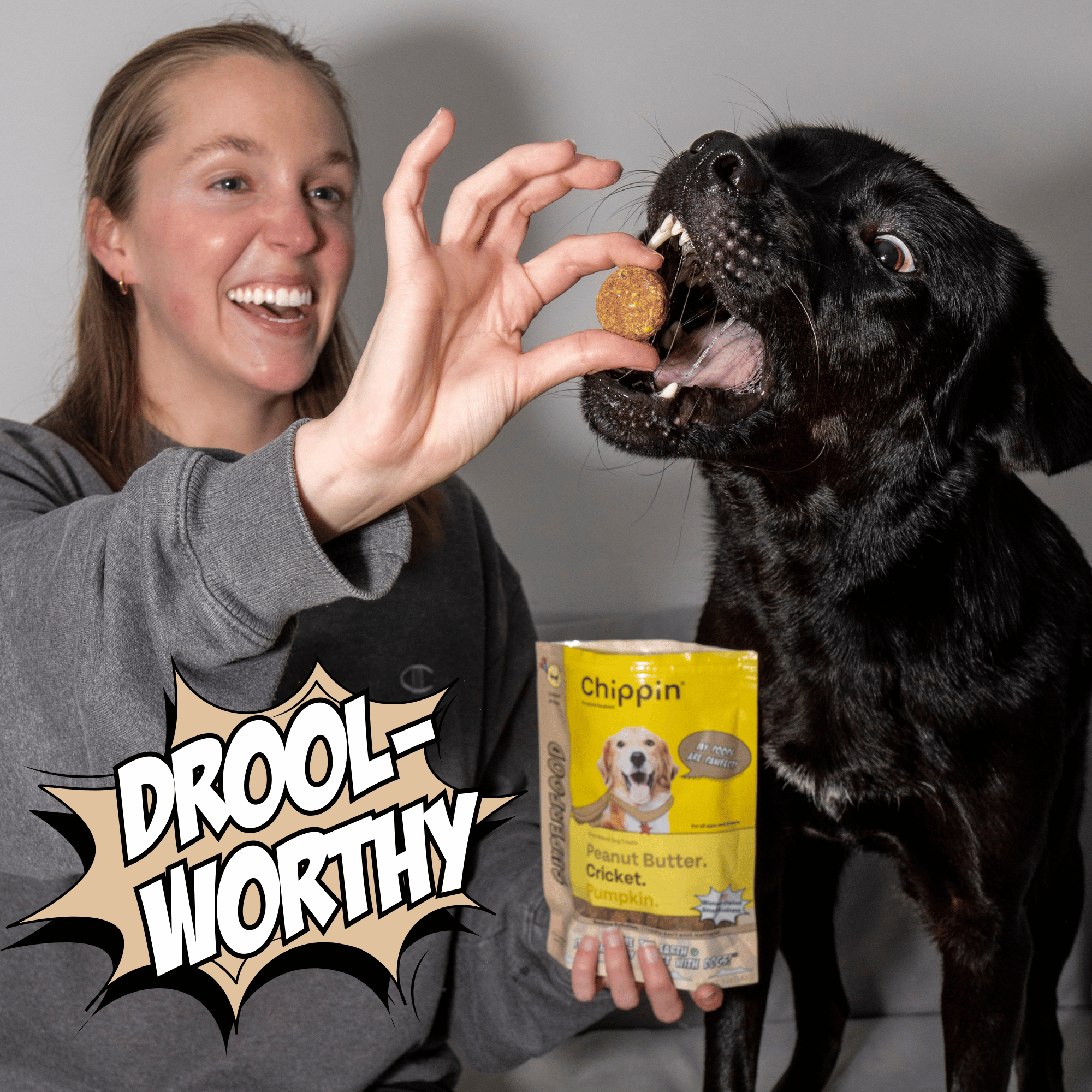 Superfood Cricket & Pumpkin Dog Treats, 4-Pack