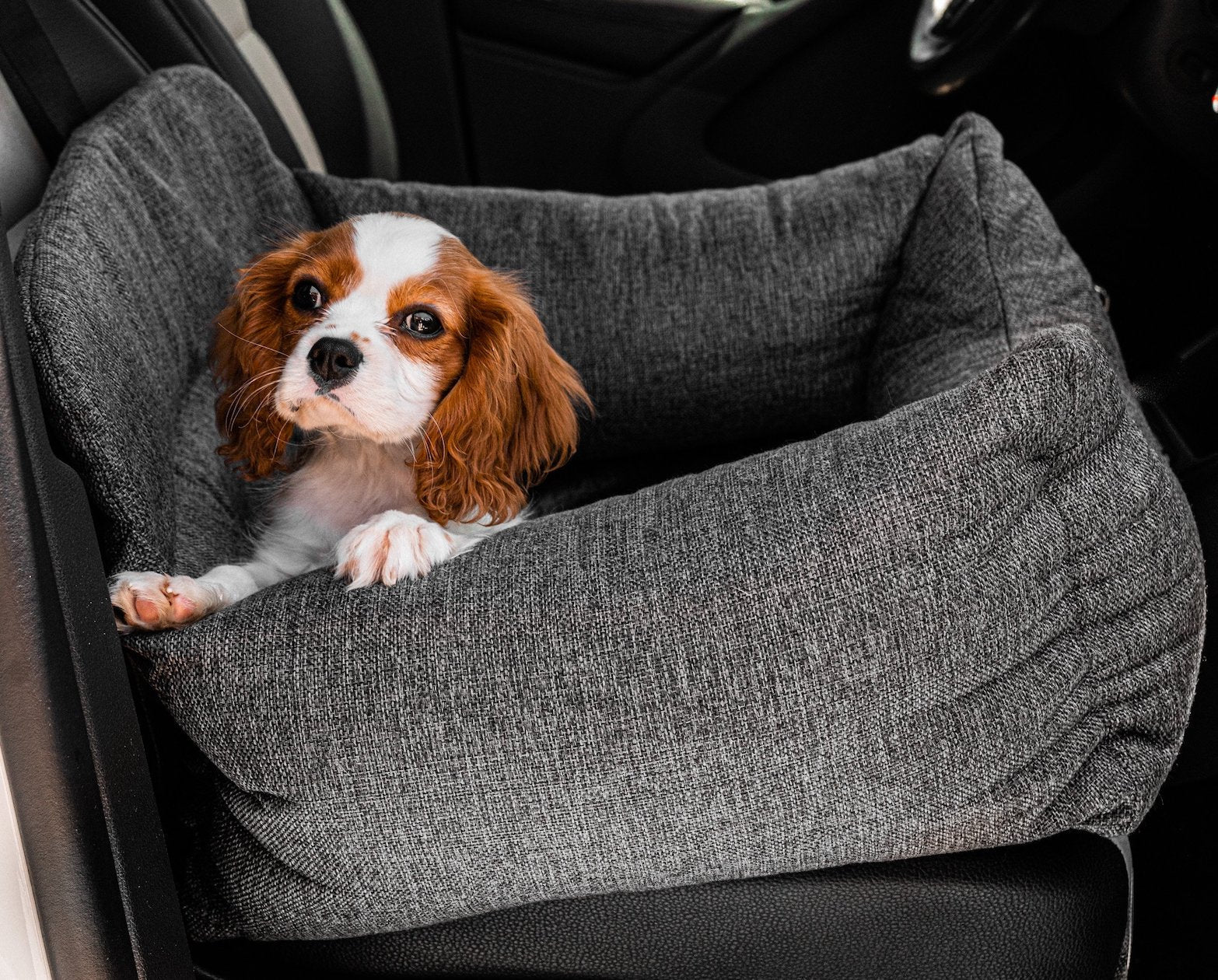 PupProtector™ Performance Tweed Memory Foam Dog Car Bed