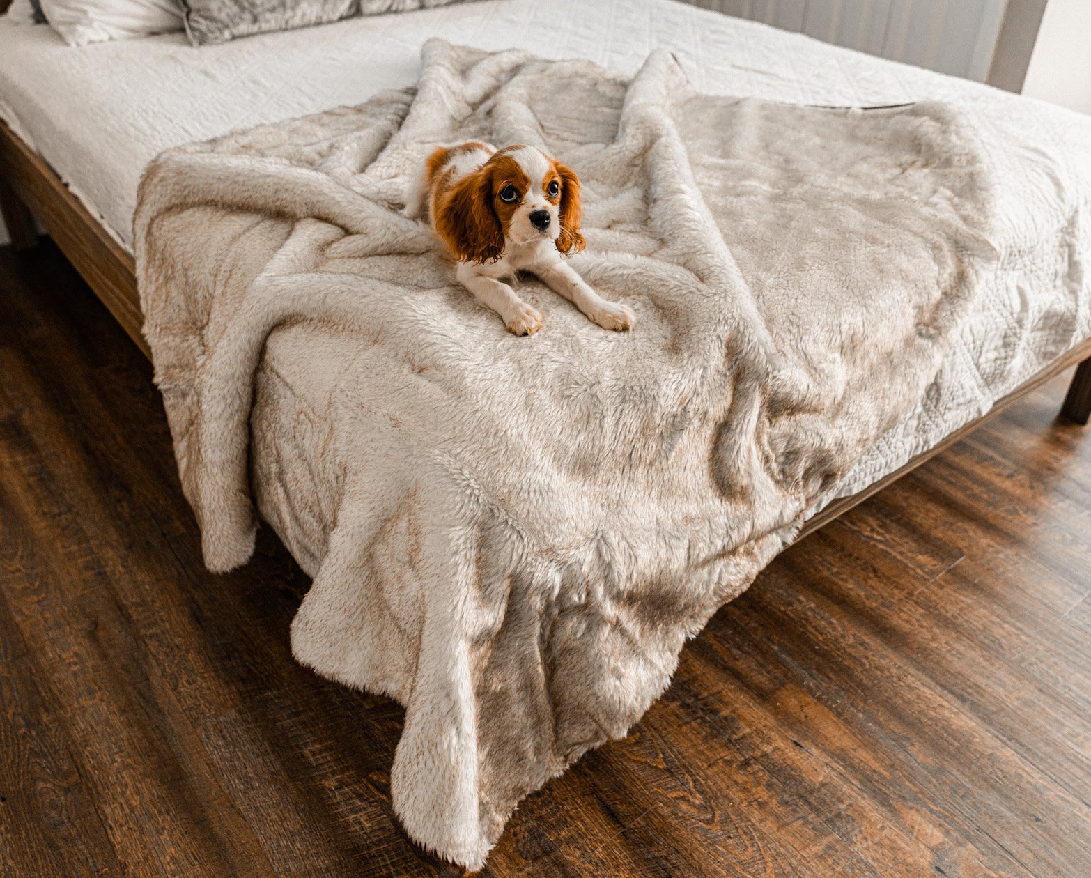 PupProtector Summer Short Fur Waterproof Throw Blanket - White with Brown Accents