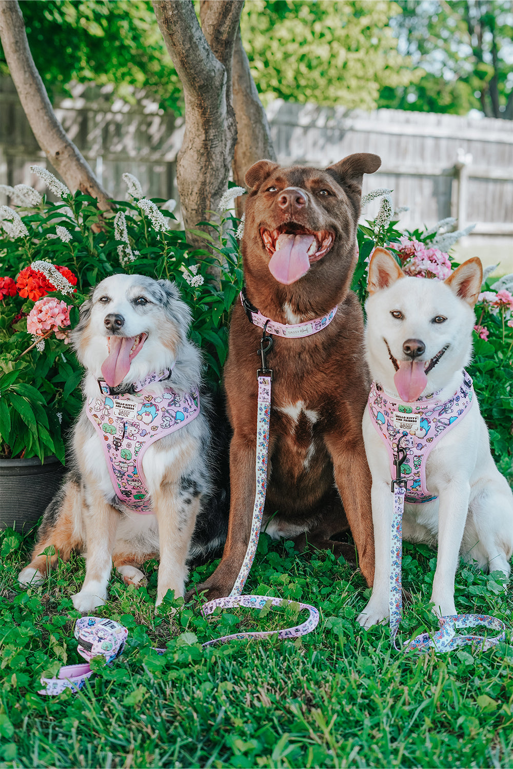 Dog Two Piece Bundle - Hello Kitty® & Friends Flower Festival