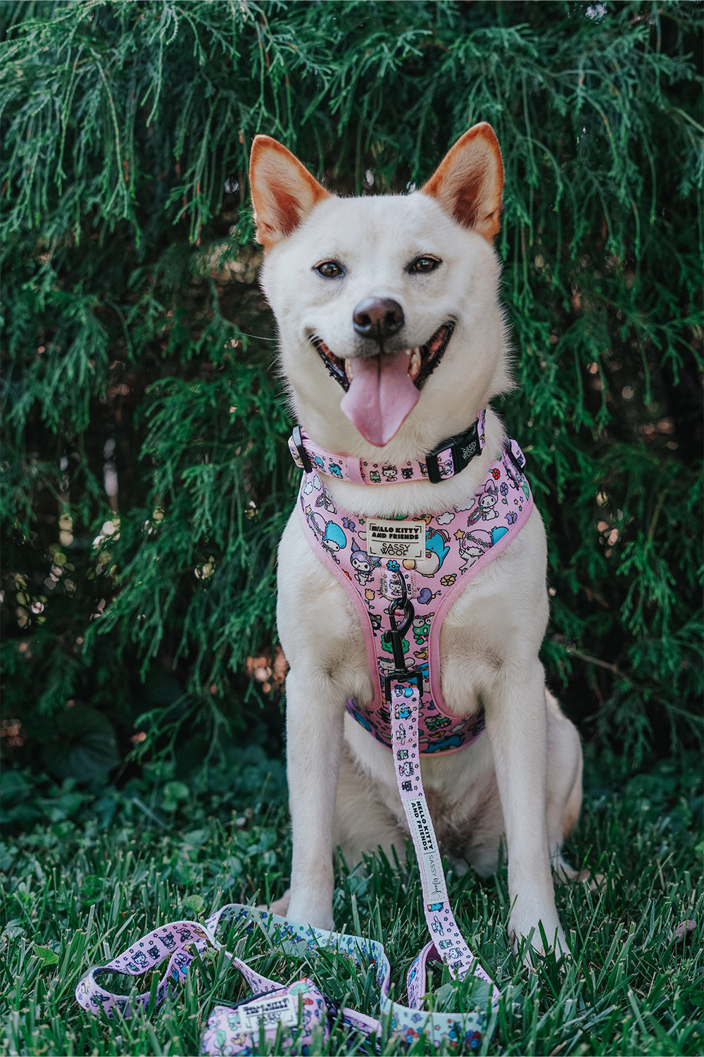 Dog Two Piece Bundle - Hello Kitty® & Friends Flower Festival