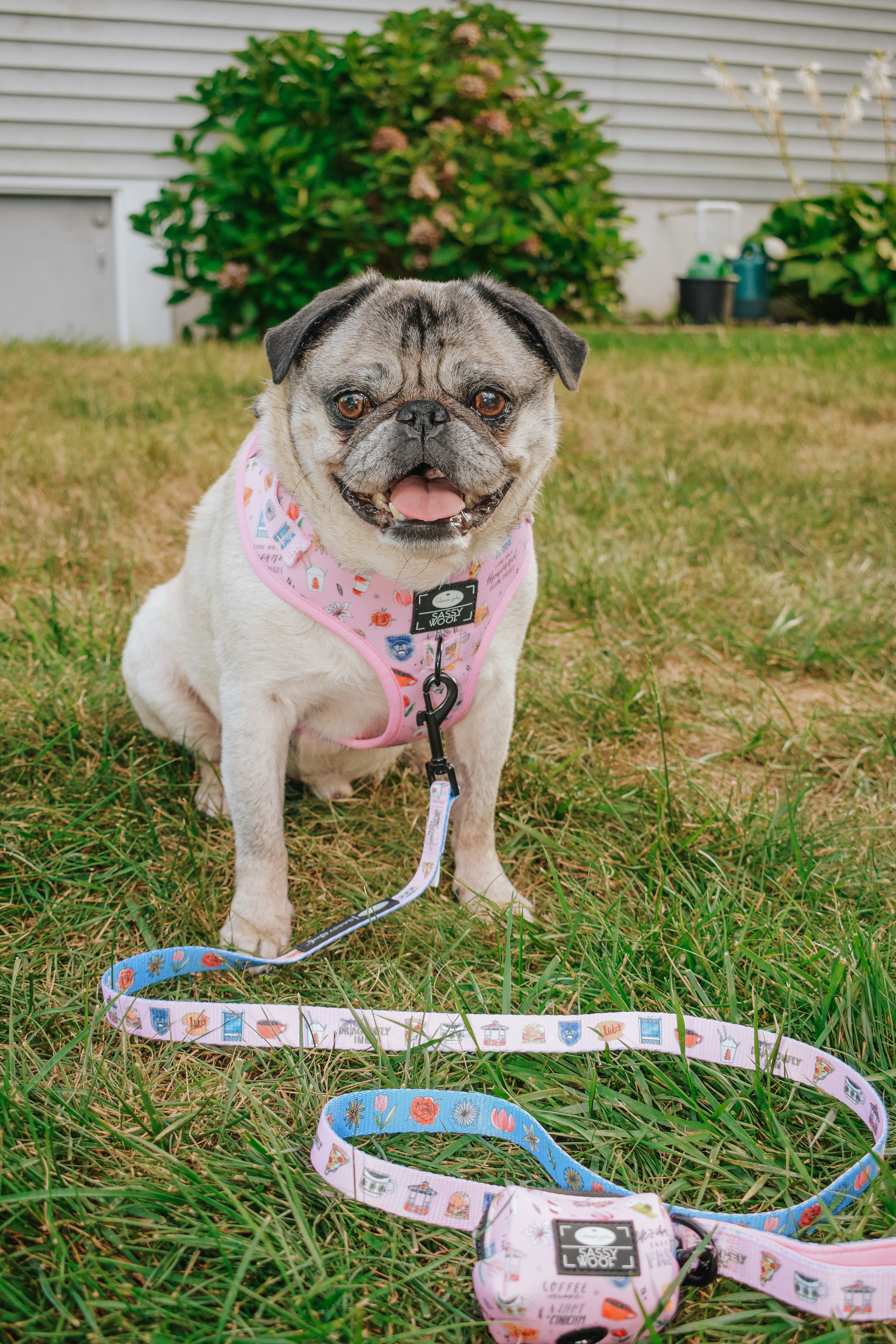 Dog Leash - Gilmore Girls™