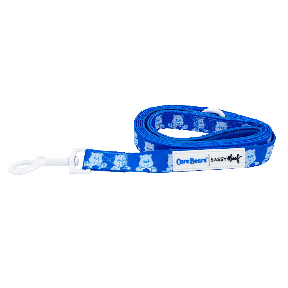 Dog Leash - Care Bears™ Grumpy Bear
