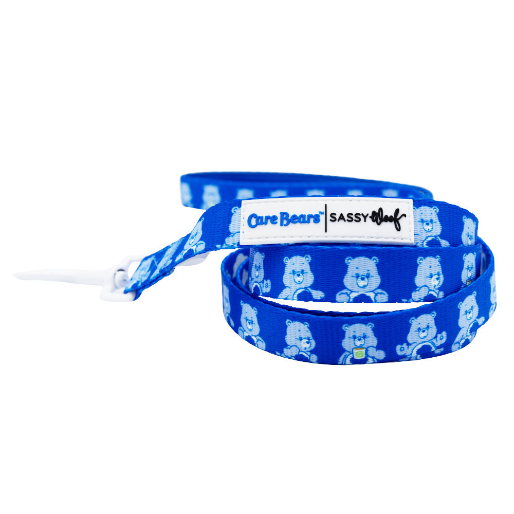 Dog Leash - Care Bears™ Grumpy Bear