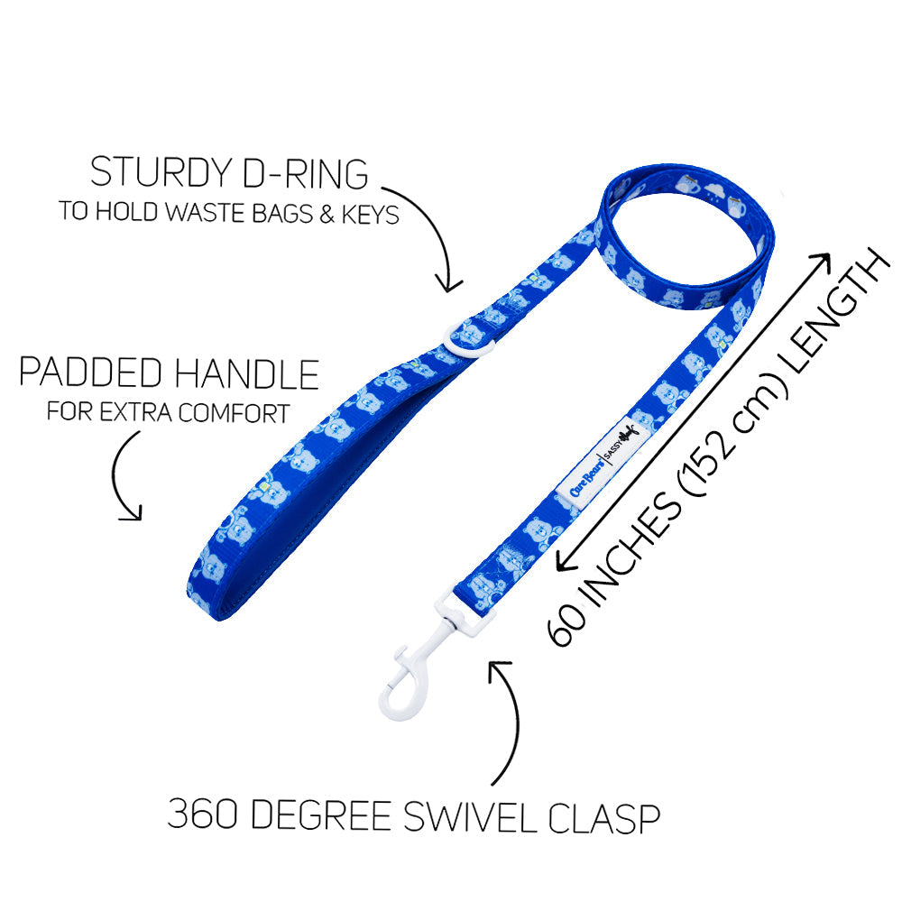 Dog Leash - Care Bears™ Grumpy Bear