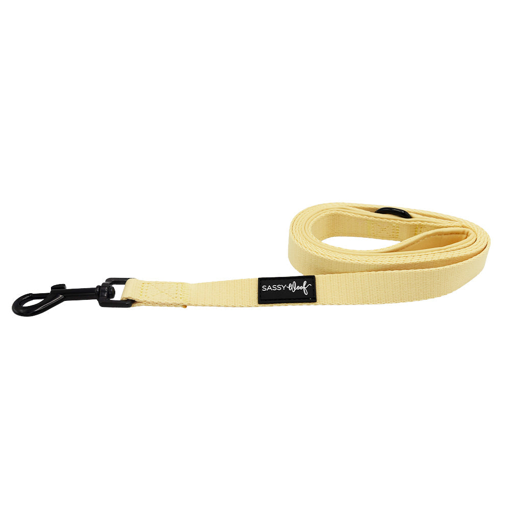 Dog Leash - Daffodil
