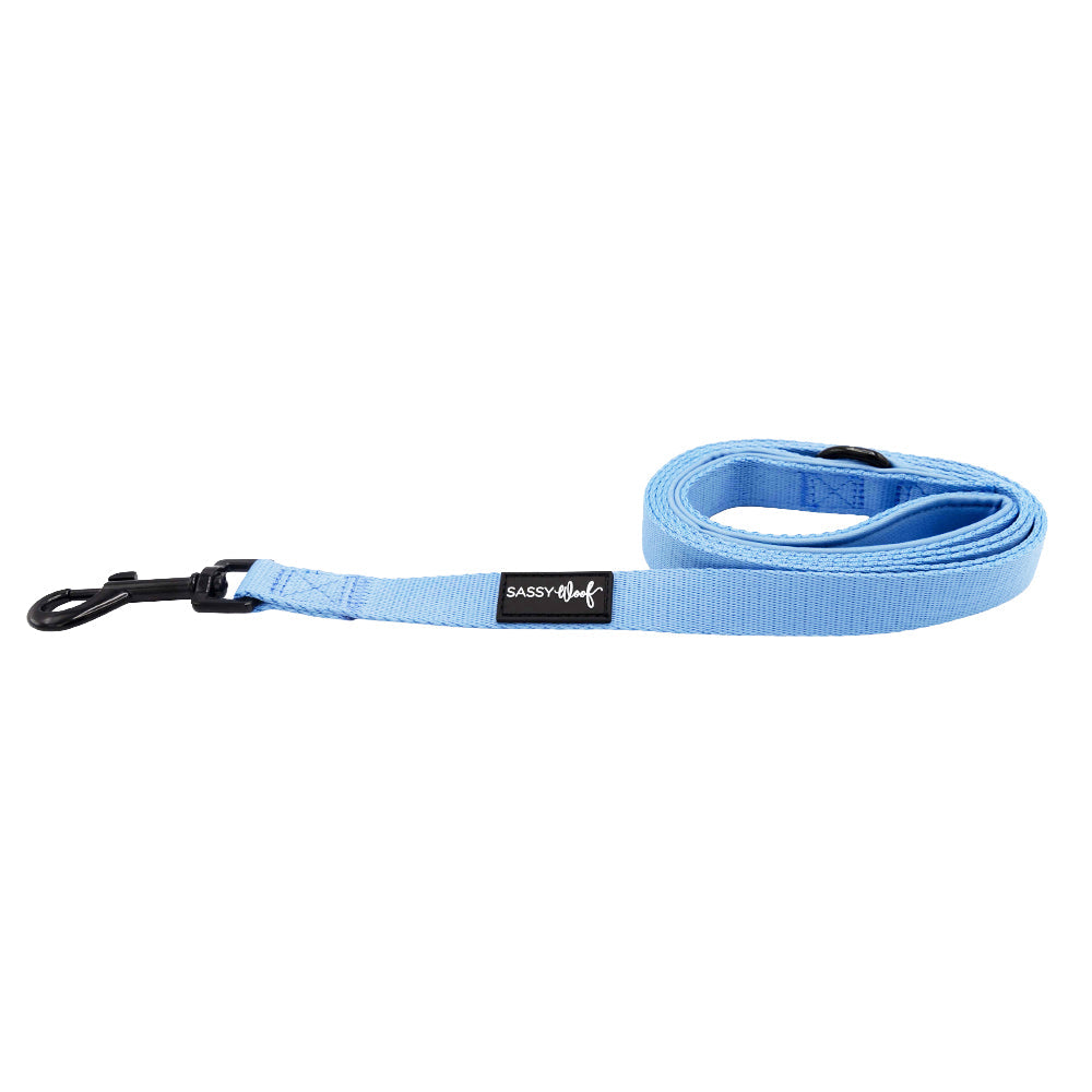 Dog Leash - Hydrangea