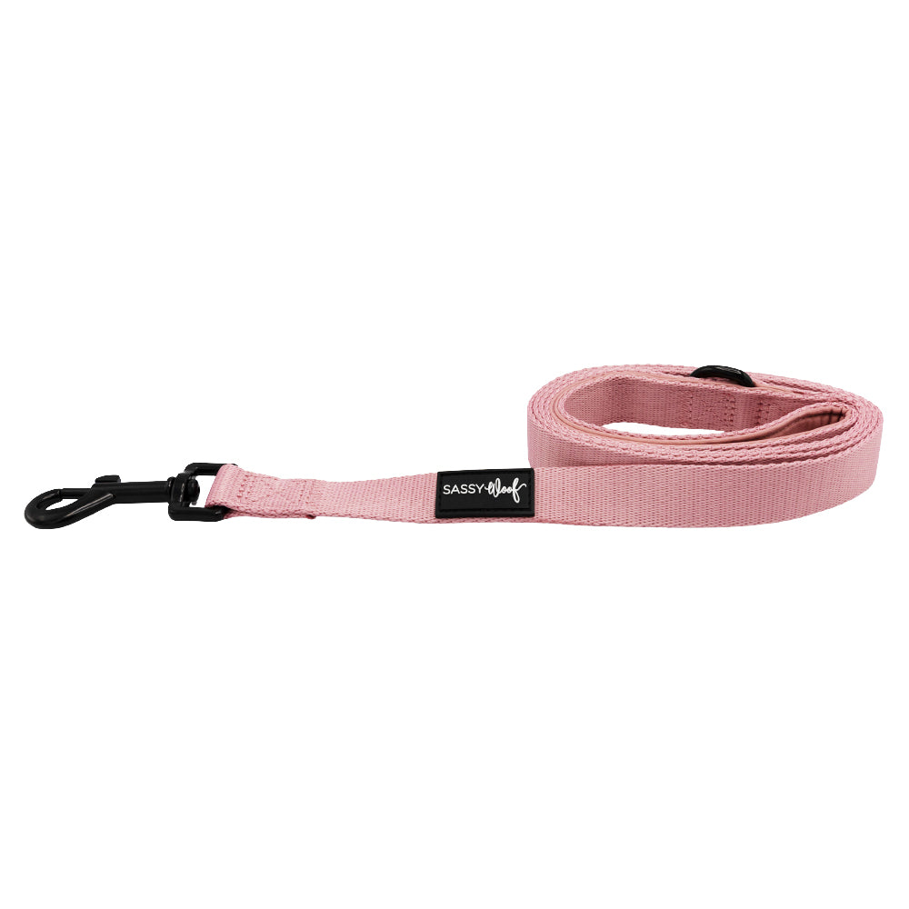 Dog Leash - Dusty Rose