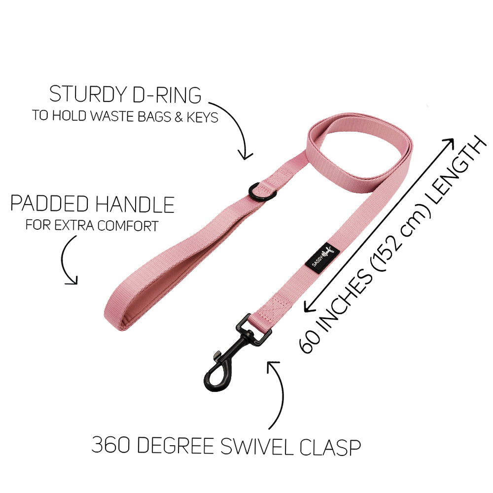 Dog Leash - Dusty Rose