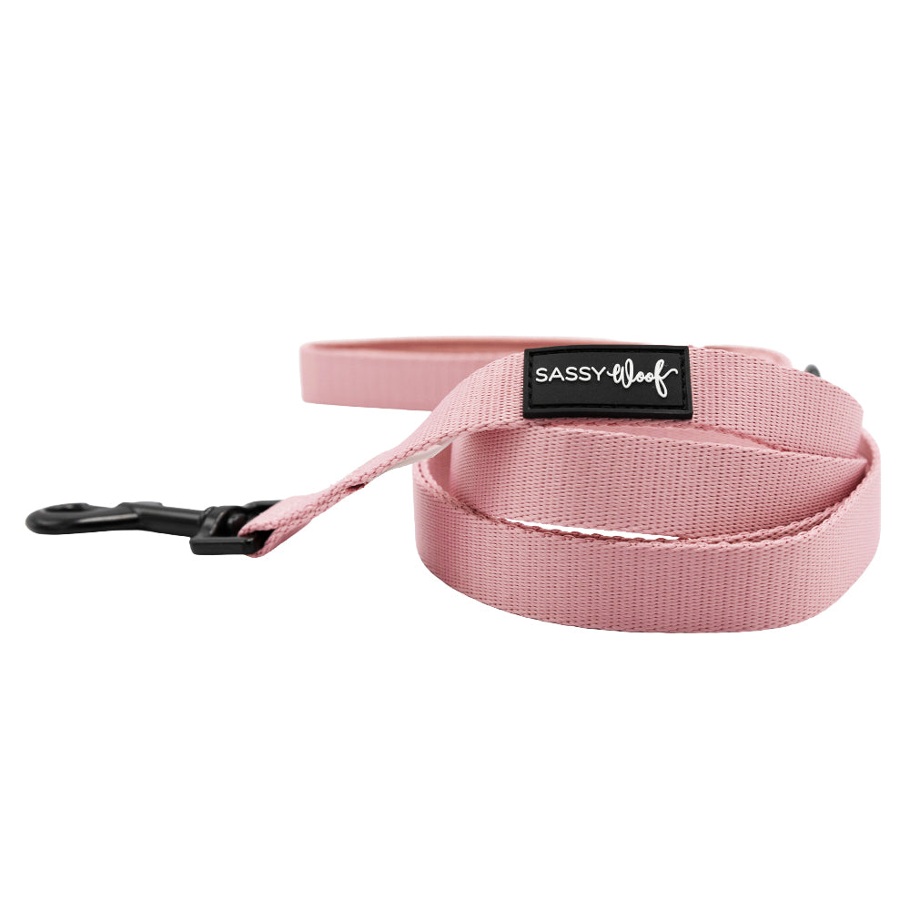 Dog Leash - Dusty Rose