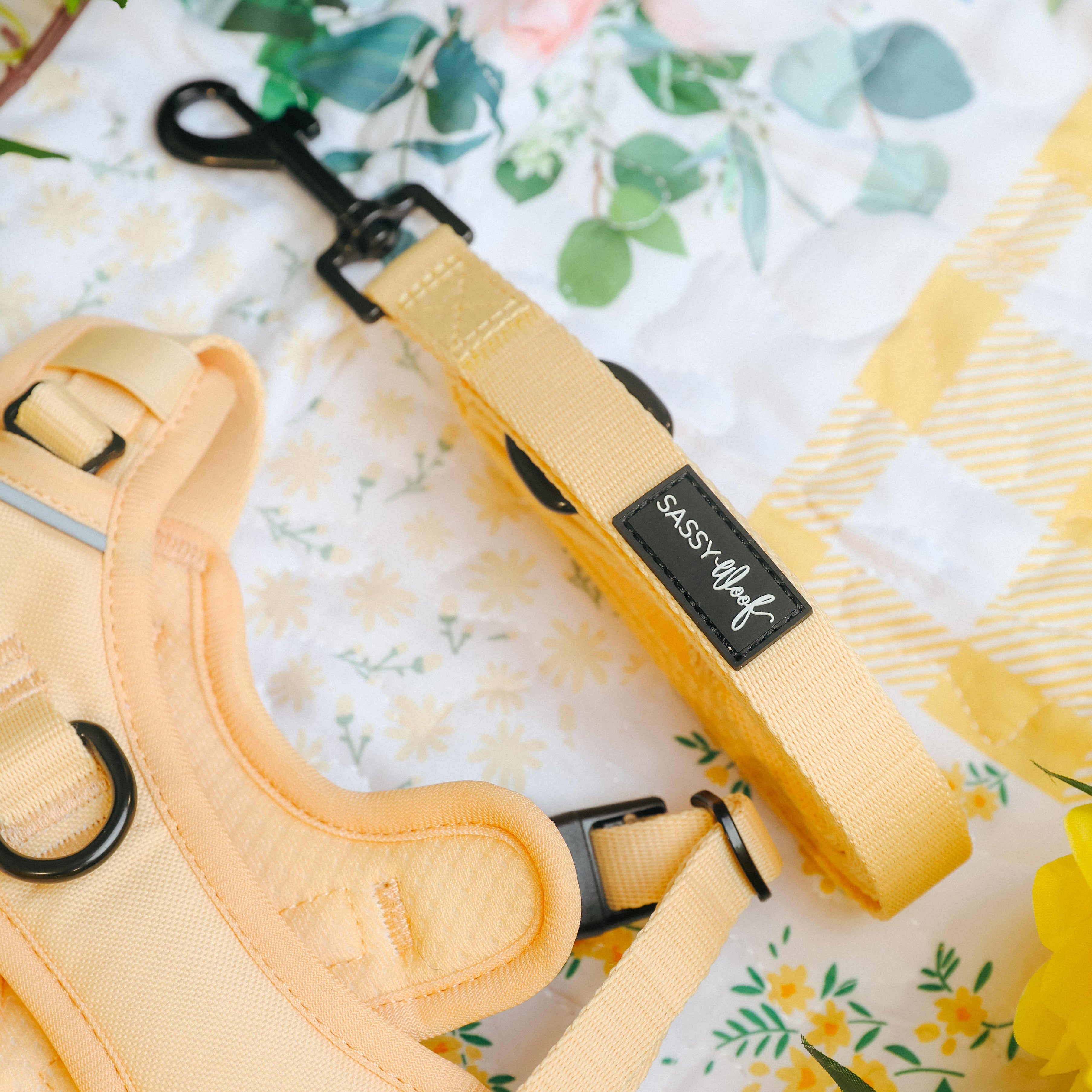 Dog Leash - Daffodil