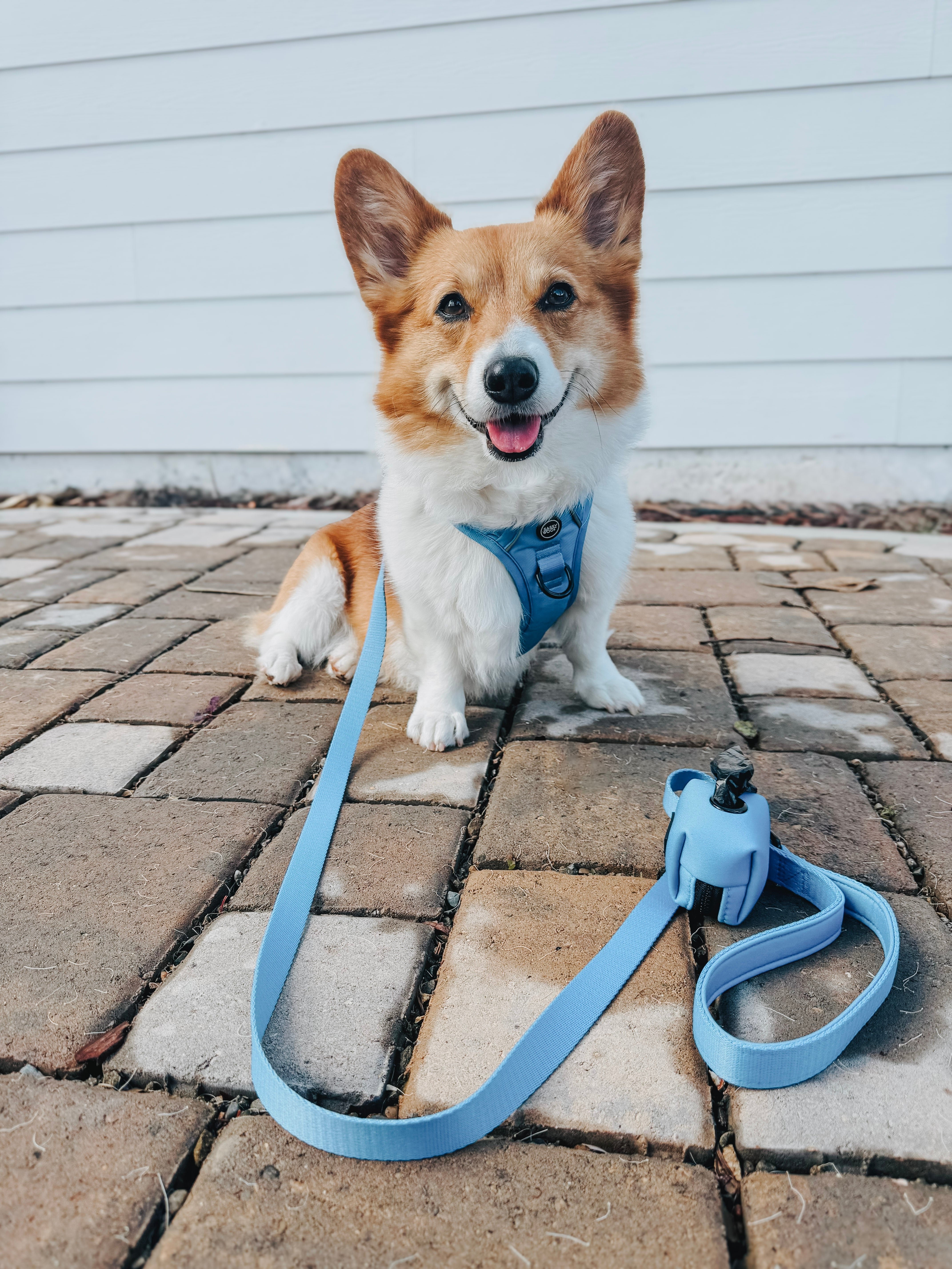 Dog Leash - Hydrangea