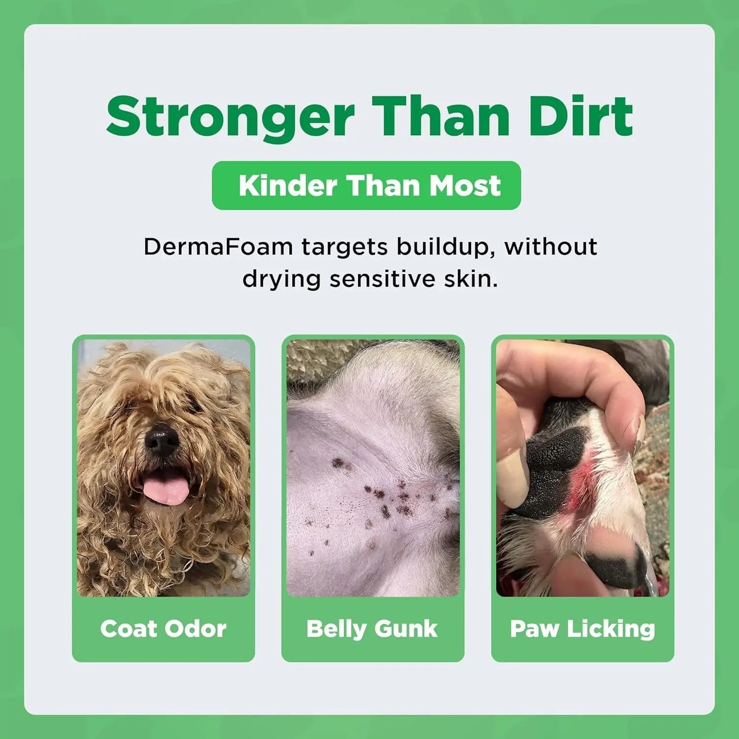 Dermafoam Chlorhexidine Dog Shampoo for Itch Allergies Hot Spots 16.9oz