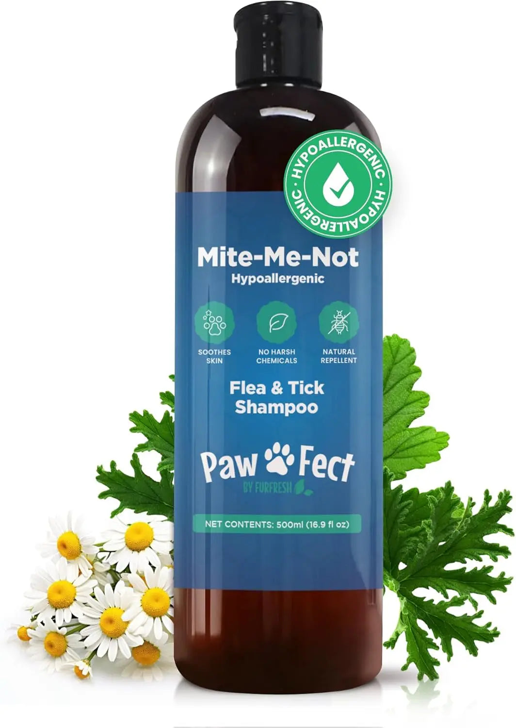 Dermafoam Chlorhexidine Dog Shampoo for Itch Allergies Hot Spots 16.9oz