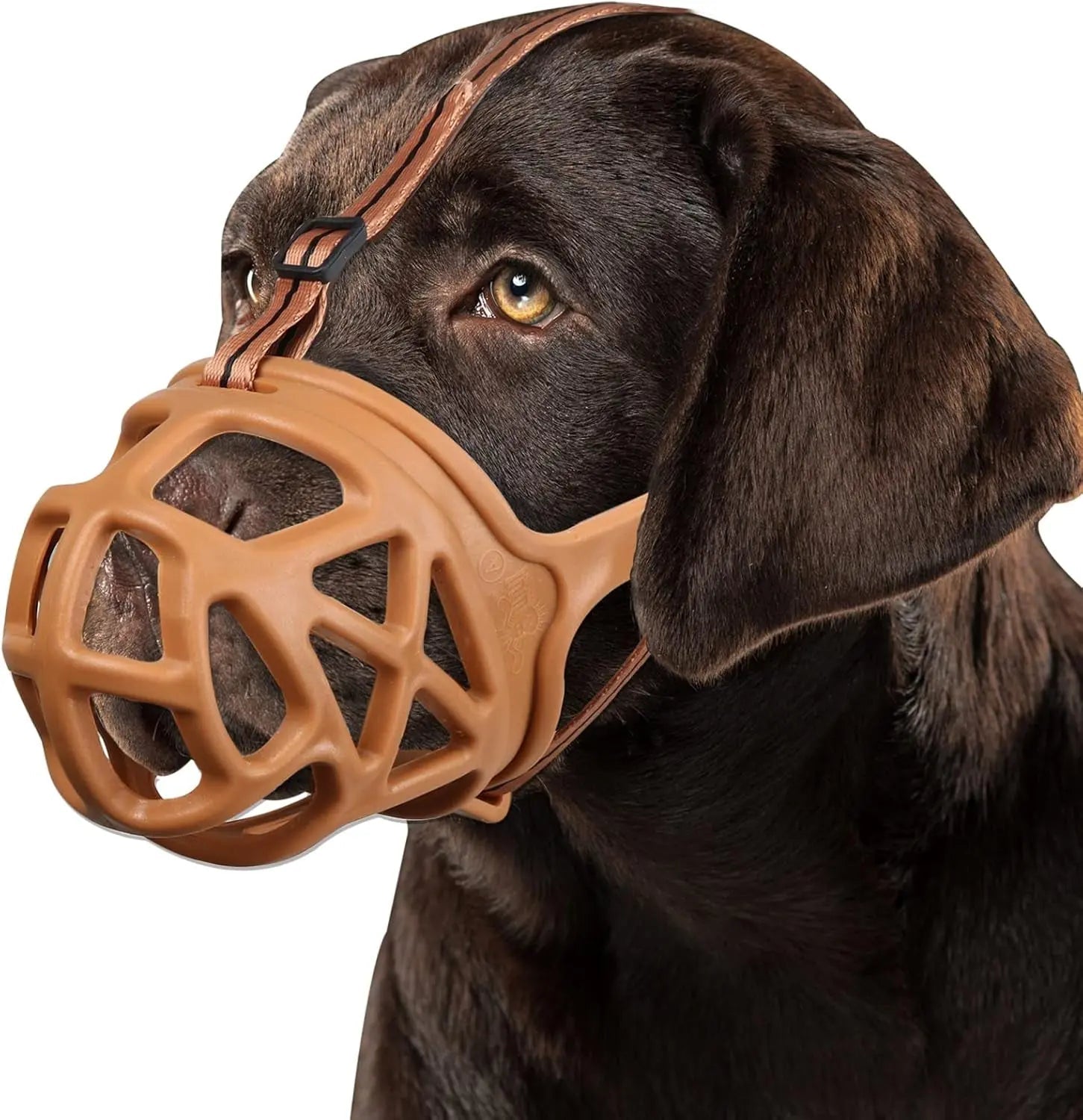 Dog Basket Muzzle Adjustable Humane Anti-Bite Training Muzzle for Dogs