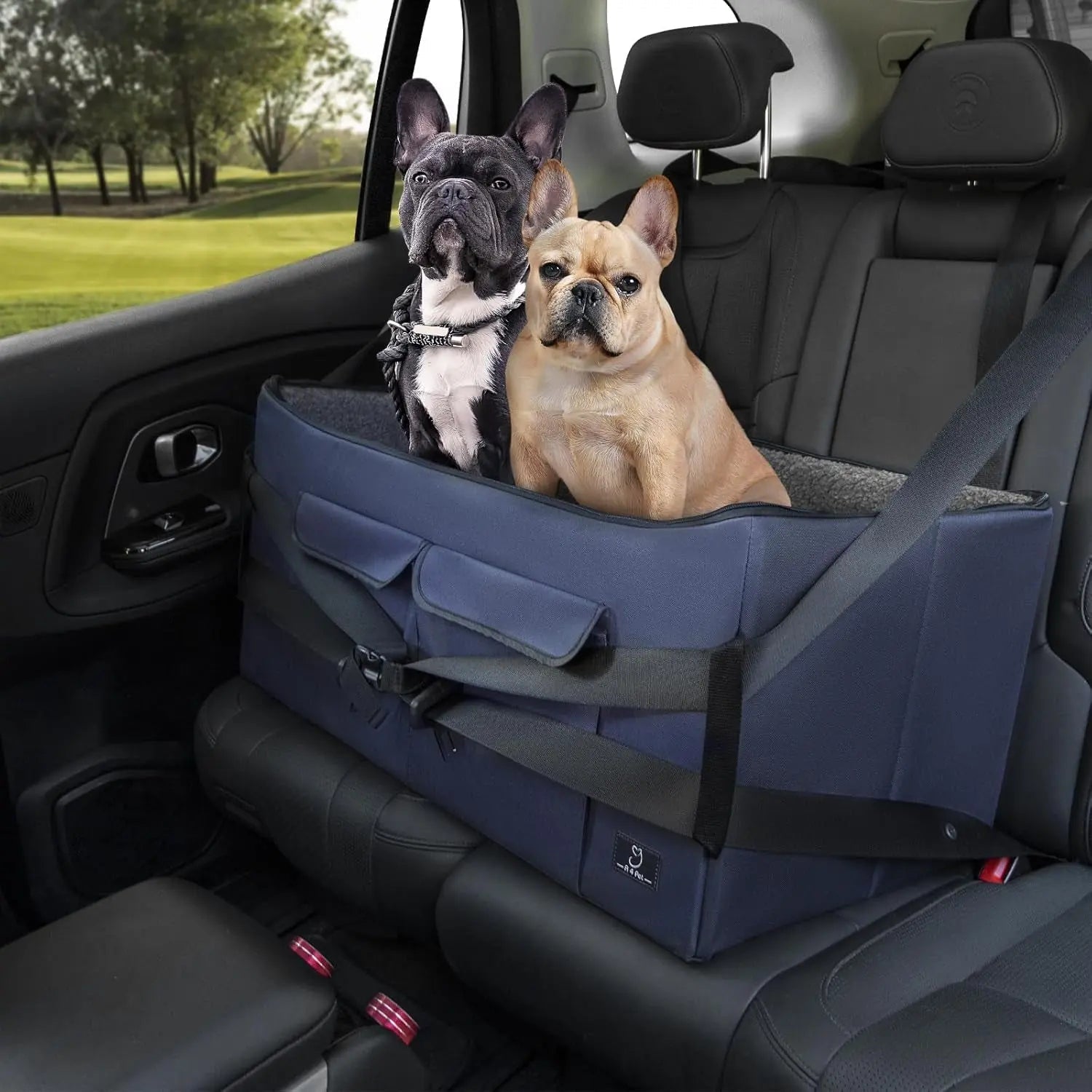 Dog Car Seat Booster for Small Dogs Under 25lbs, Travel Safety Seat with Leash