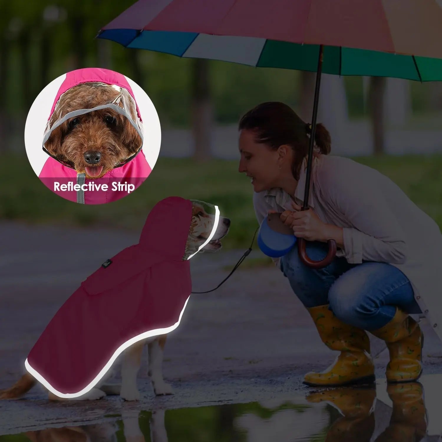 Dog Raincoat with Clear Hood Reflective Trim Adjustable XS–3XL in 3 colors