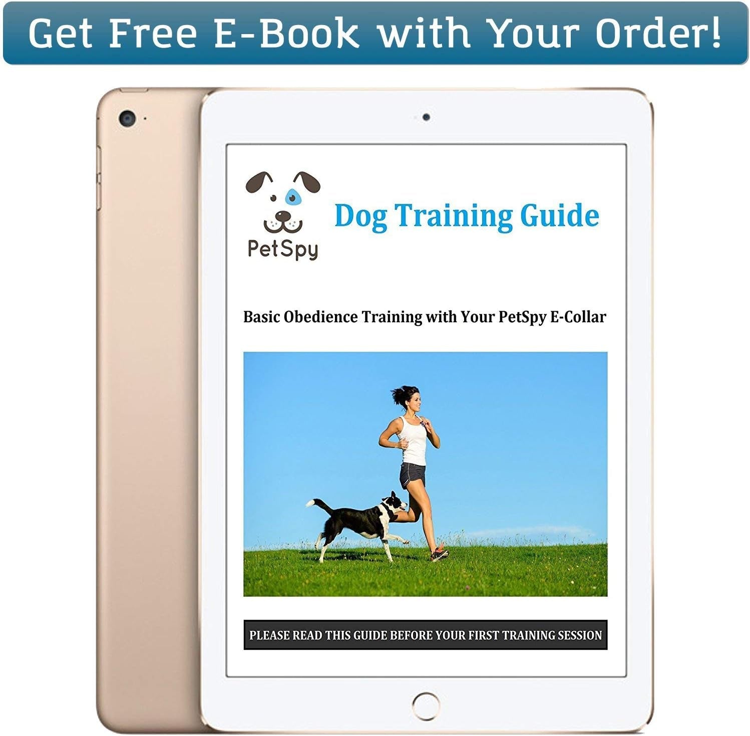 Dog Training Collar Remote Beep Vibration Shock Waterproof 1 or 2 Dogs