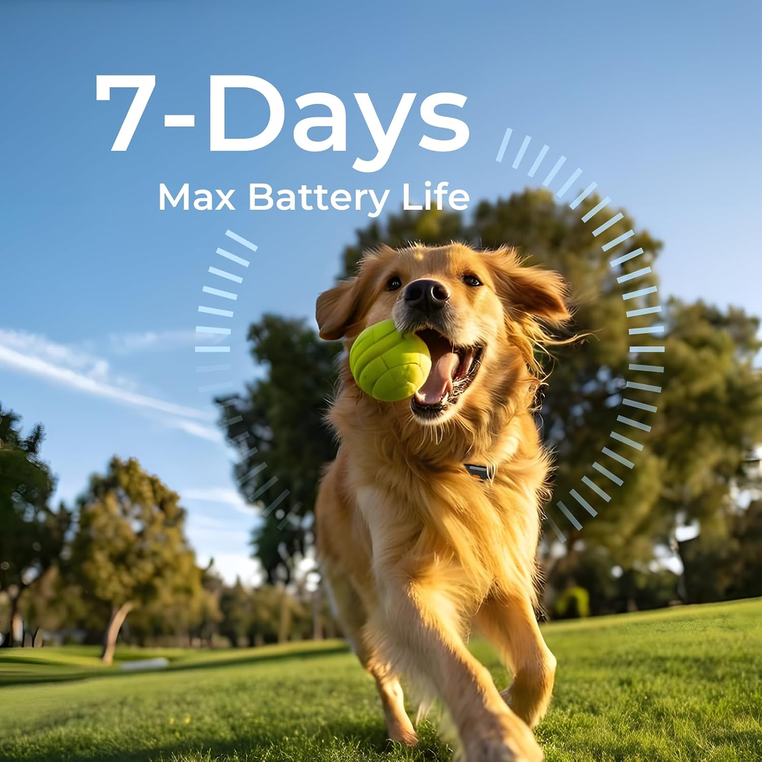 Dog GPS Tracker No Subscription, 3-Mile Range, Virtual Fence & IP67