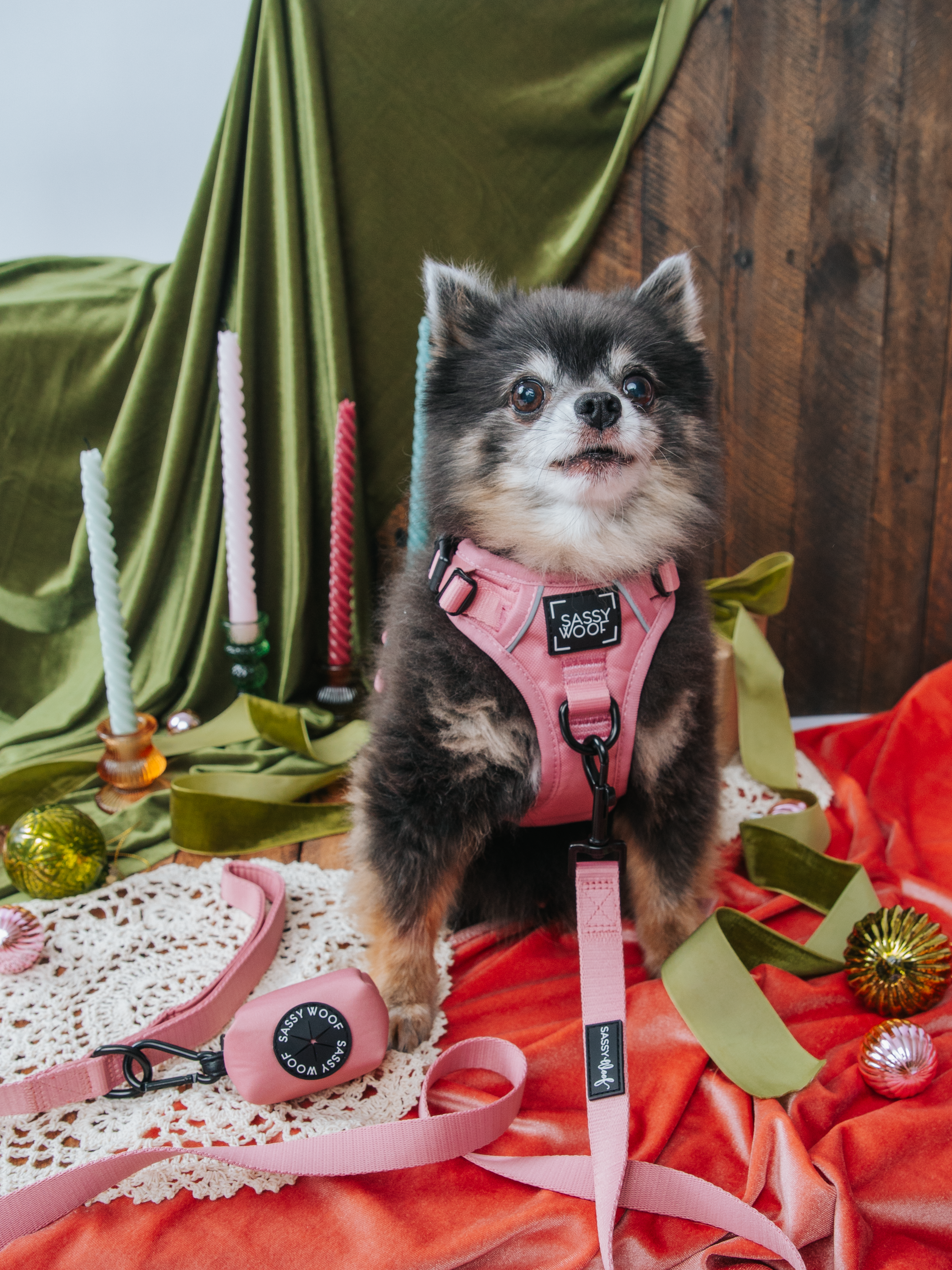 Dog Leash - Dusty Rose