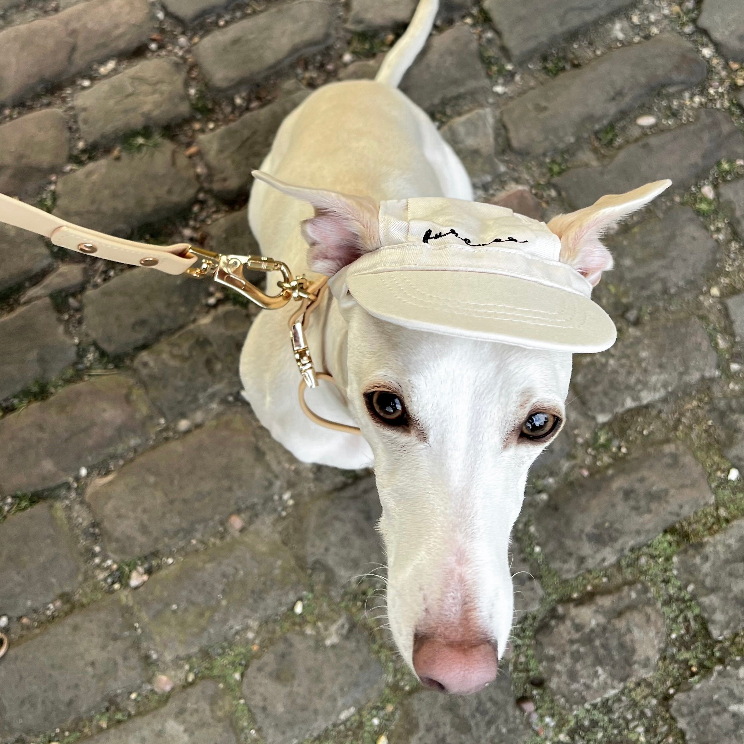 Fur Elise Furever Hat Bundle