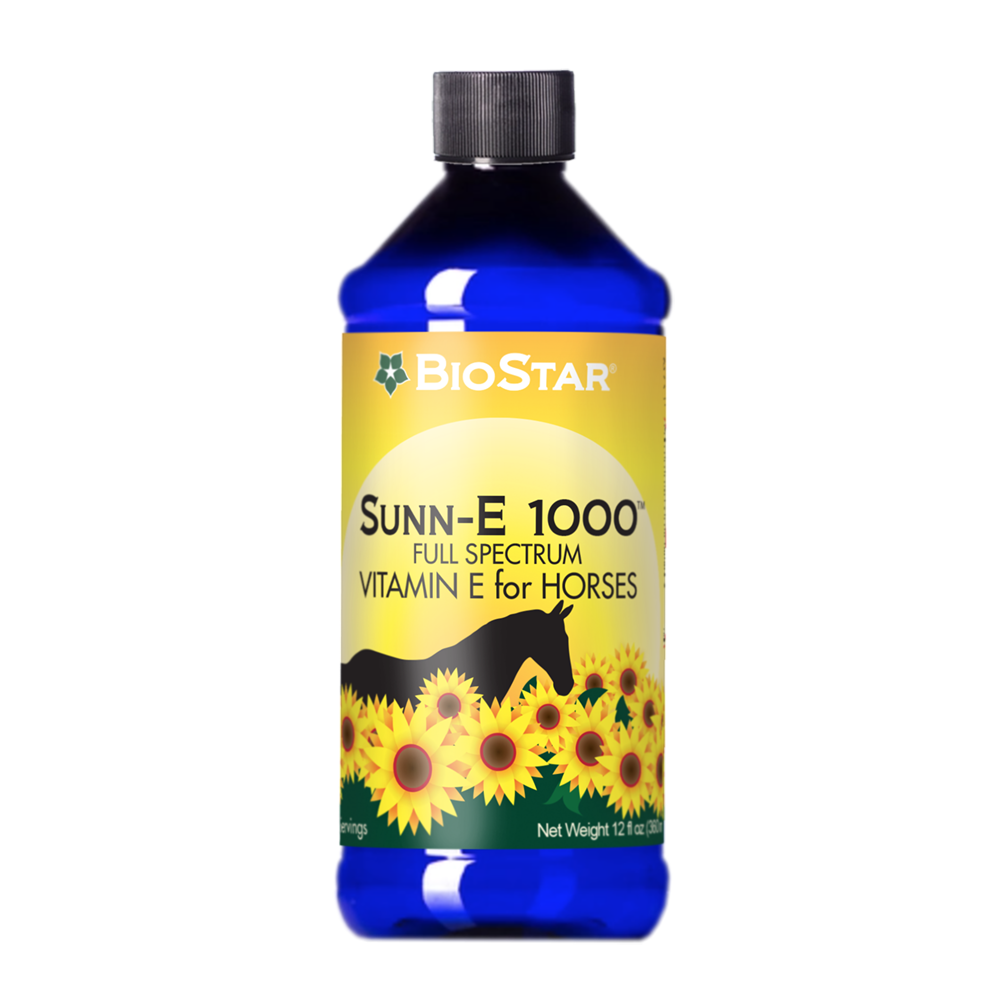 Sunn-E 1000
