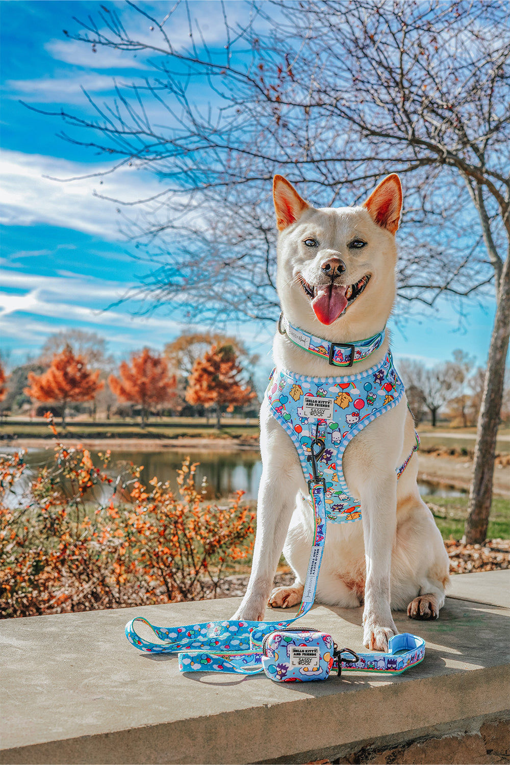 Dog Leash - Hello Kitty® & Friends In the Sky