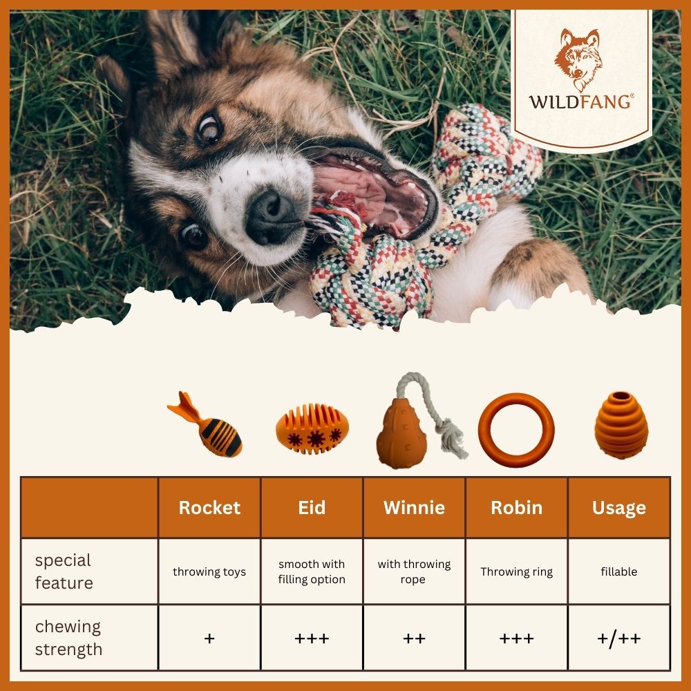 Chew toy throwing pumpkin "Winnie" - 100% natural rubber