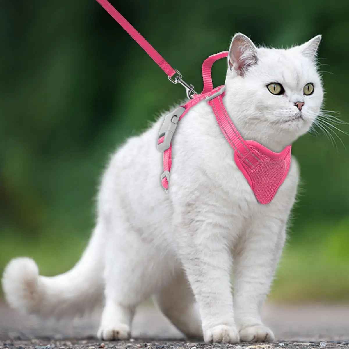 Escape-Proof Cat Harness & Leash Set – Reflective Adjustable Vest
