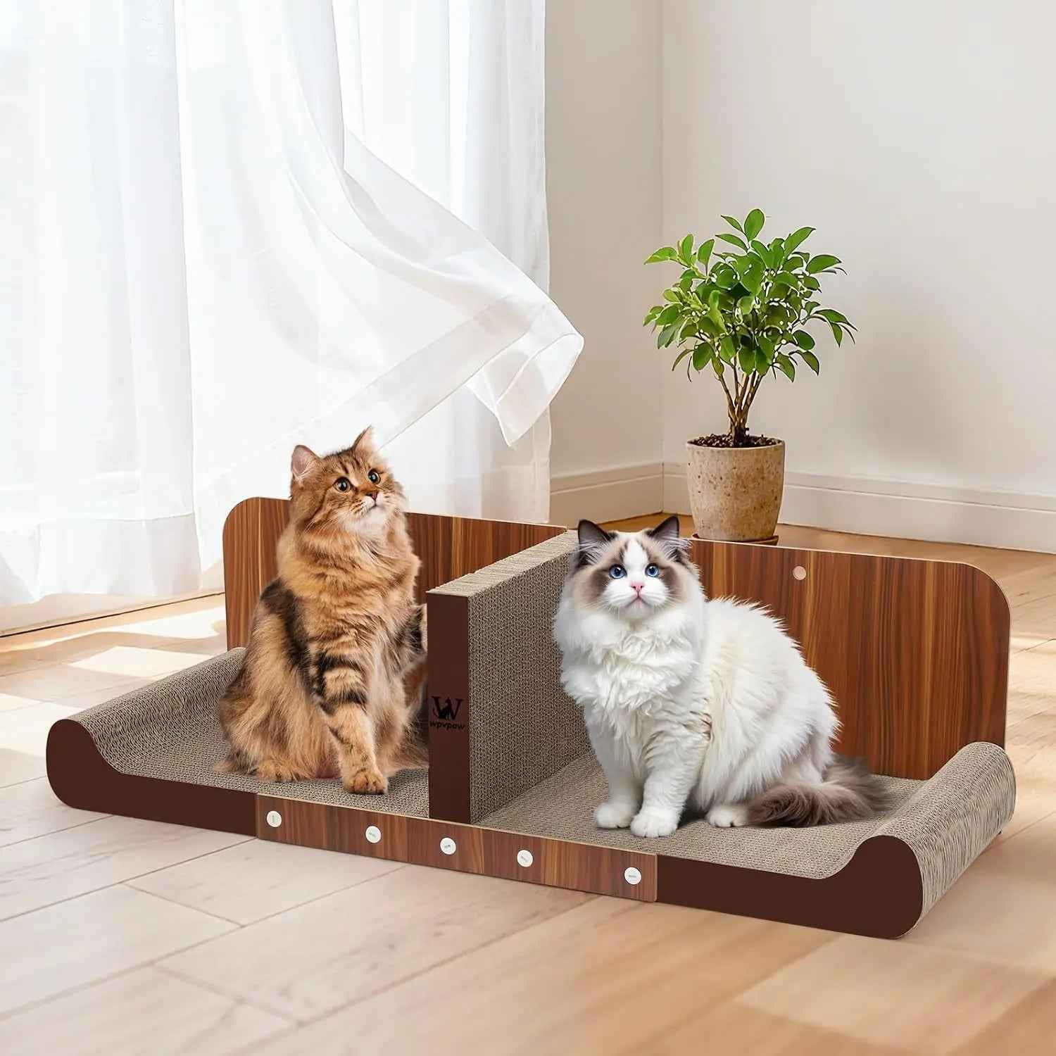 Cardboard Cat Scratcher Bed & Lounger – 32" Cat Couch