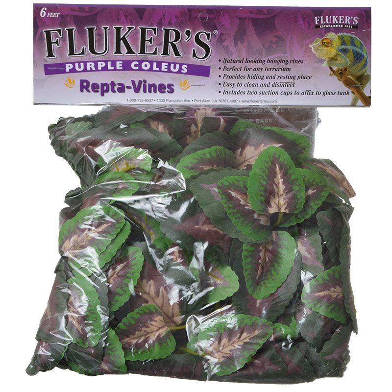 Fk 6Ft Purple Coleus Repti Vine
