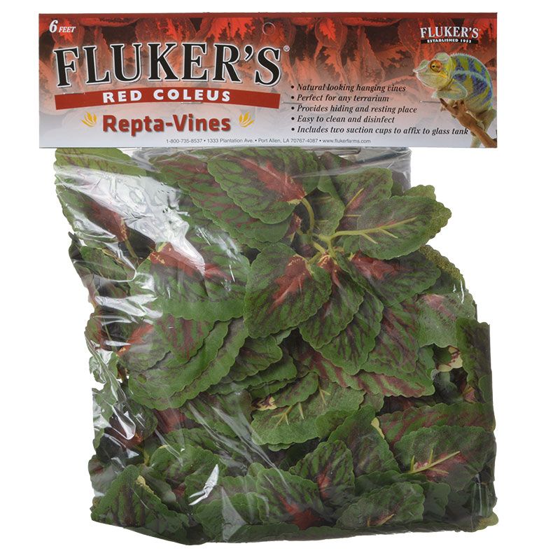 FK 6ft RED COLEUS REPTI VINE