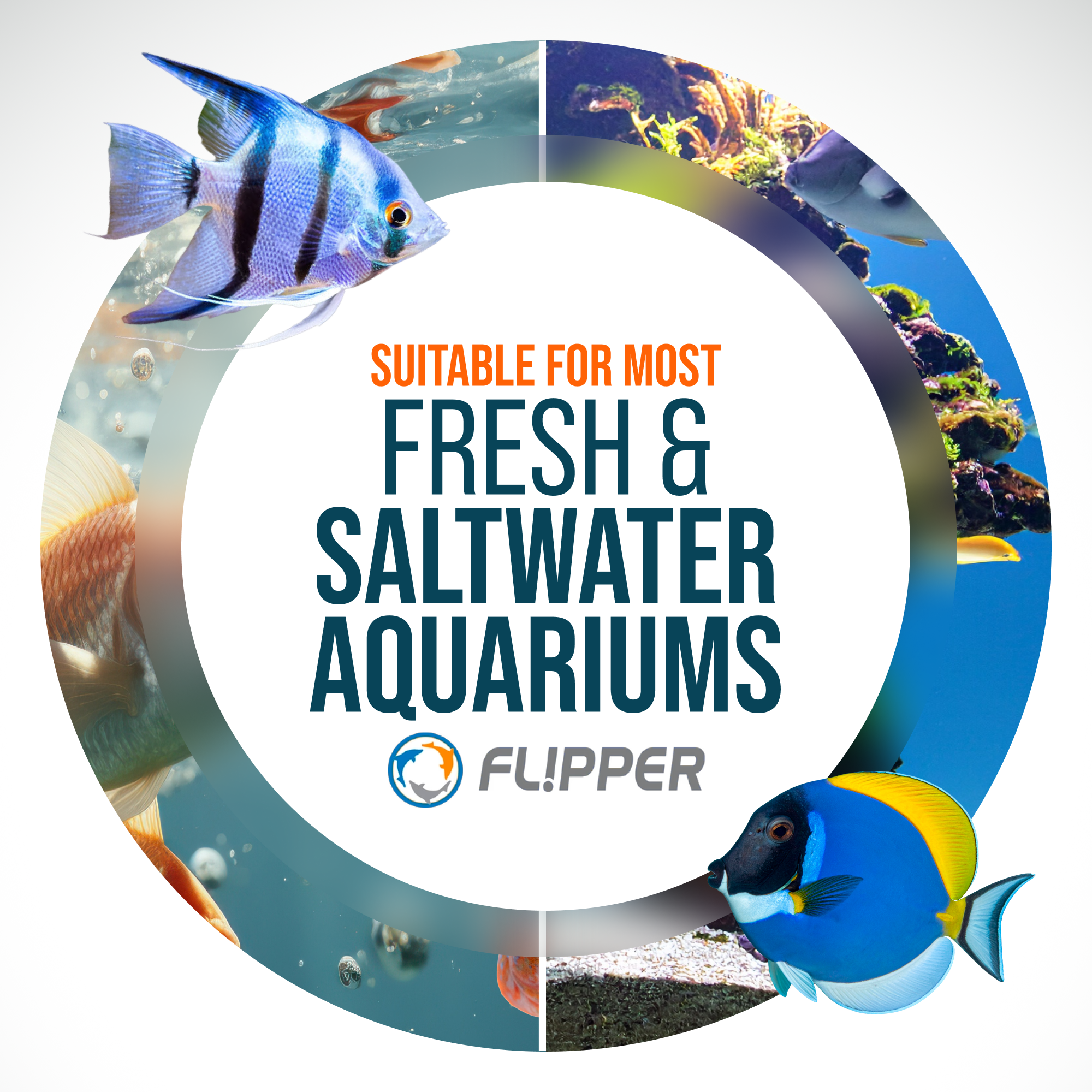 Flipper Platinum NANO Aquarium Algae Scraper 12"