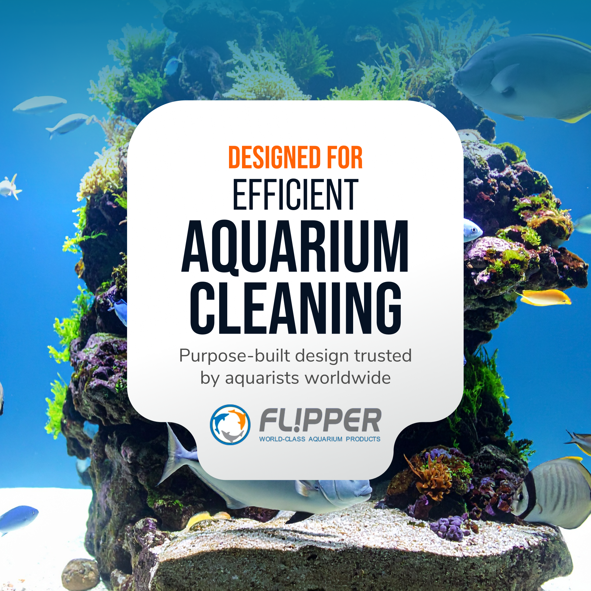 Flipper Platinum Aquarium Algae Scraper - 10"