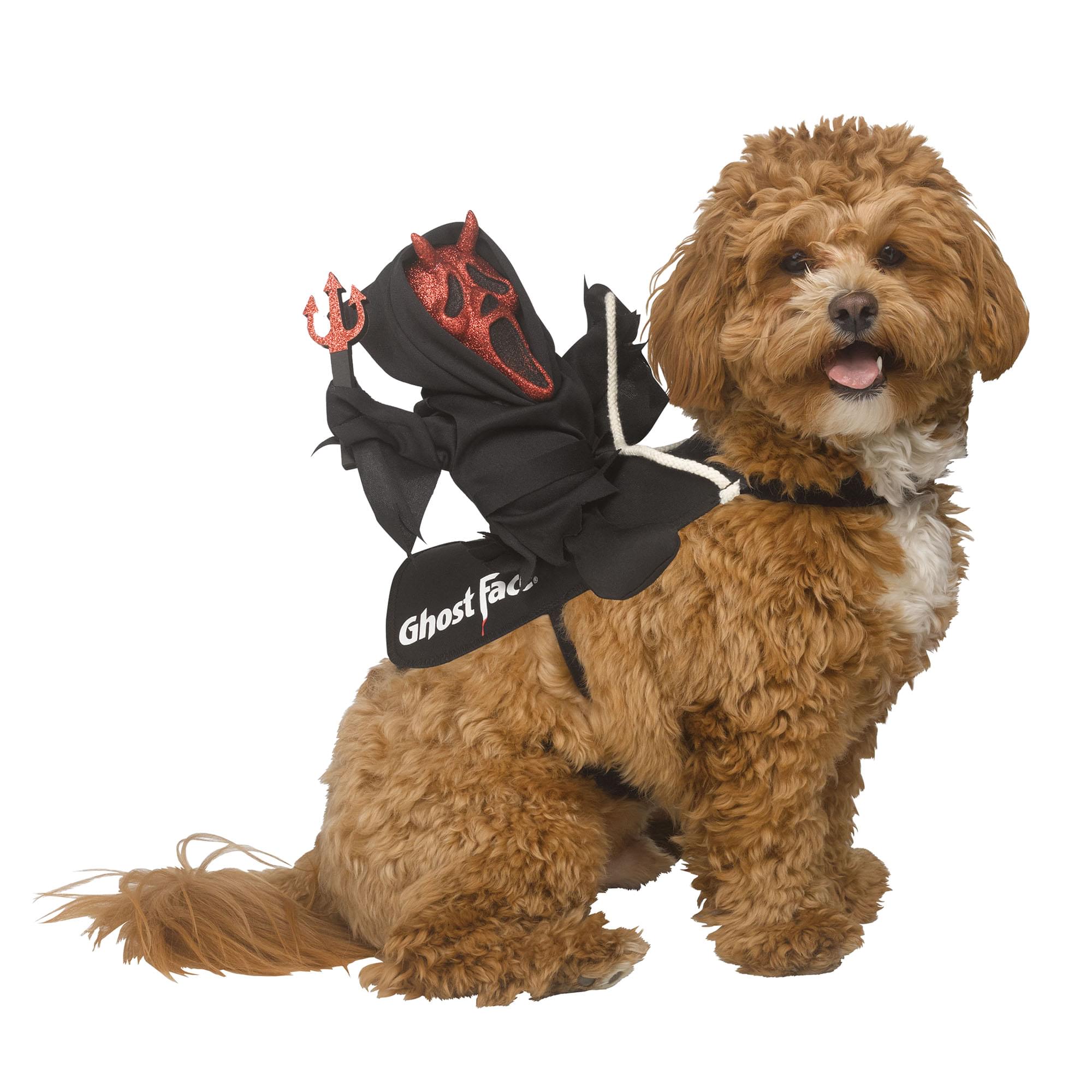 Ghost Face Devil Rider Pet Costume | Small/ Medium
