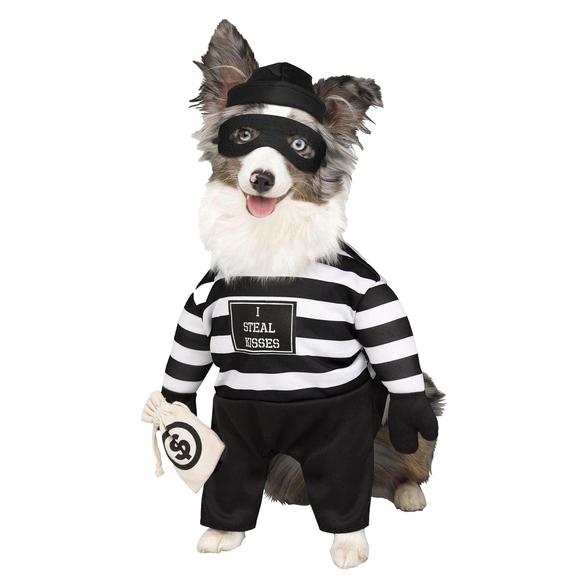 Robber Pup Pet Costume | Medium