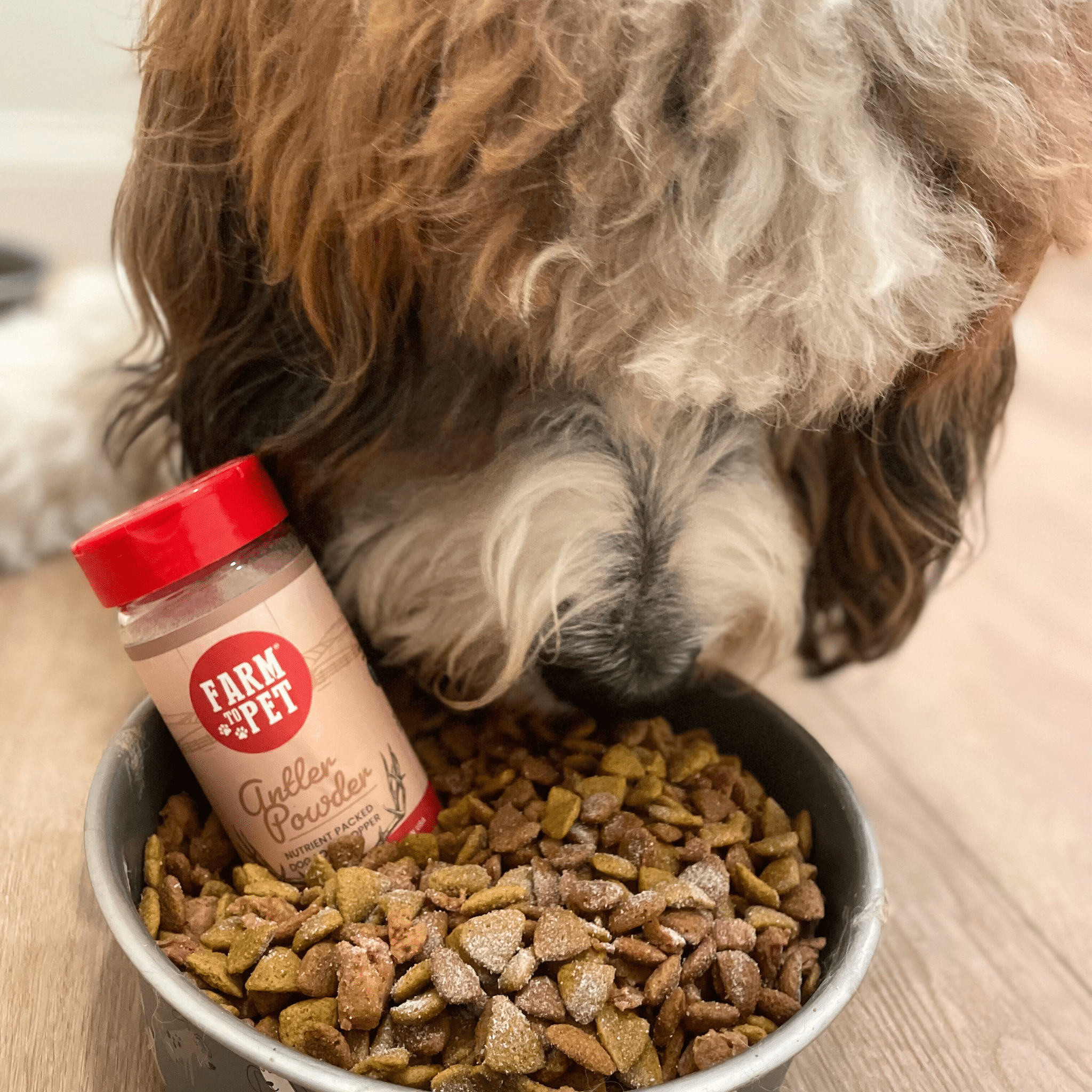 Treat Topper Antler Powder Dog Food Topper | Nutritional Supplement for Dogs and Cats